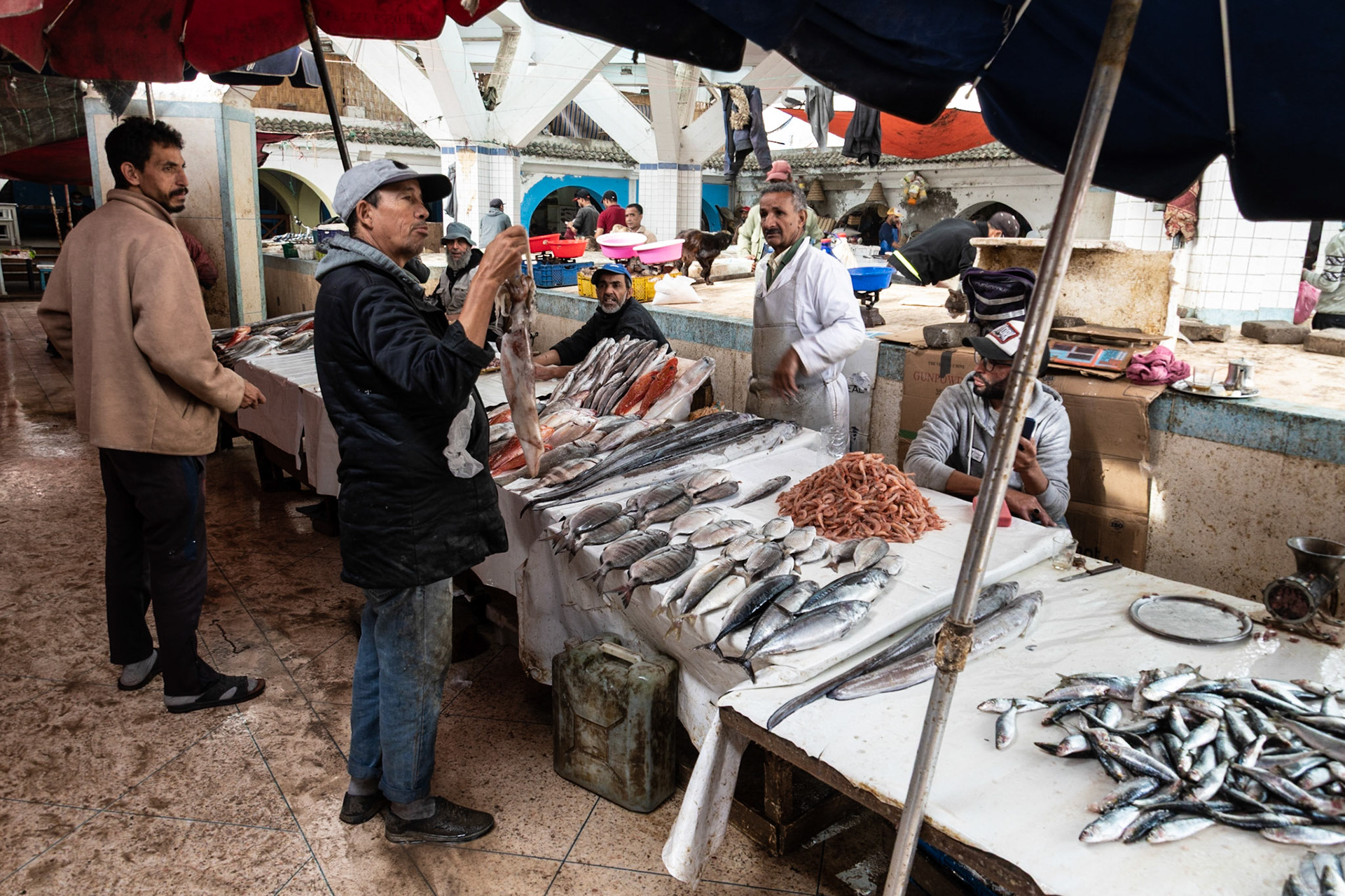 Fish market, Essaouira, Morocco