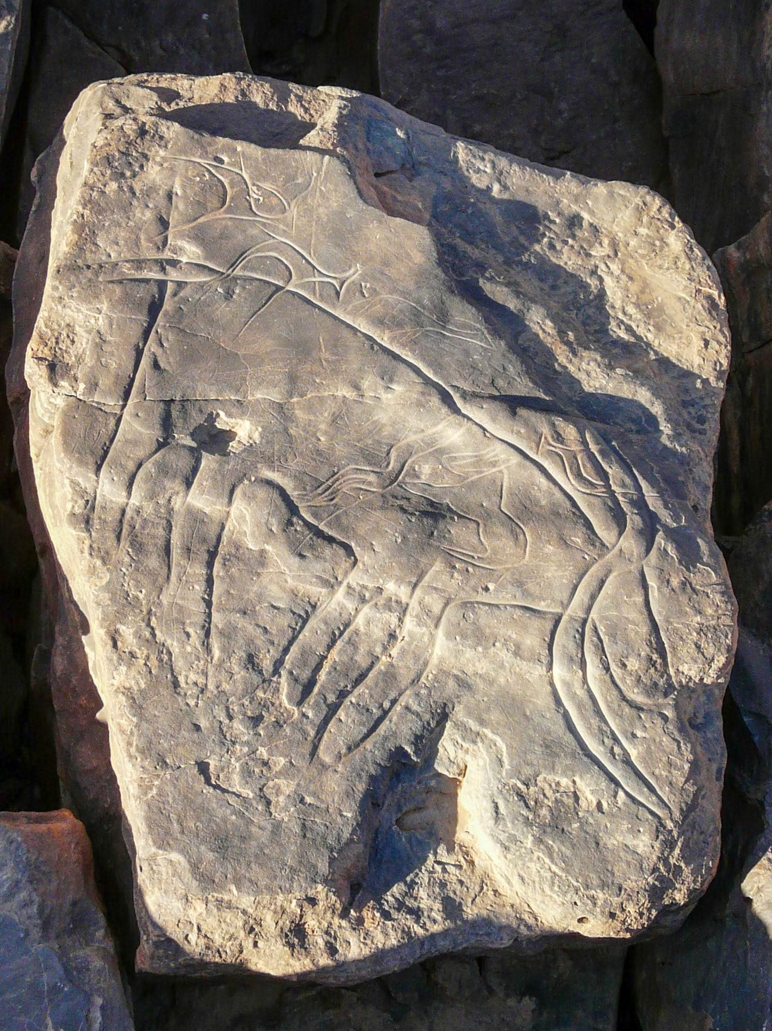 Rock carvings, Msak Settafet