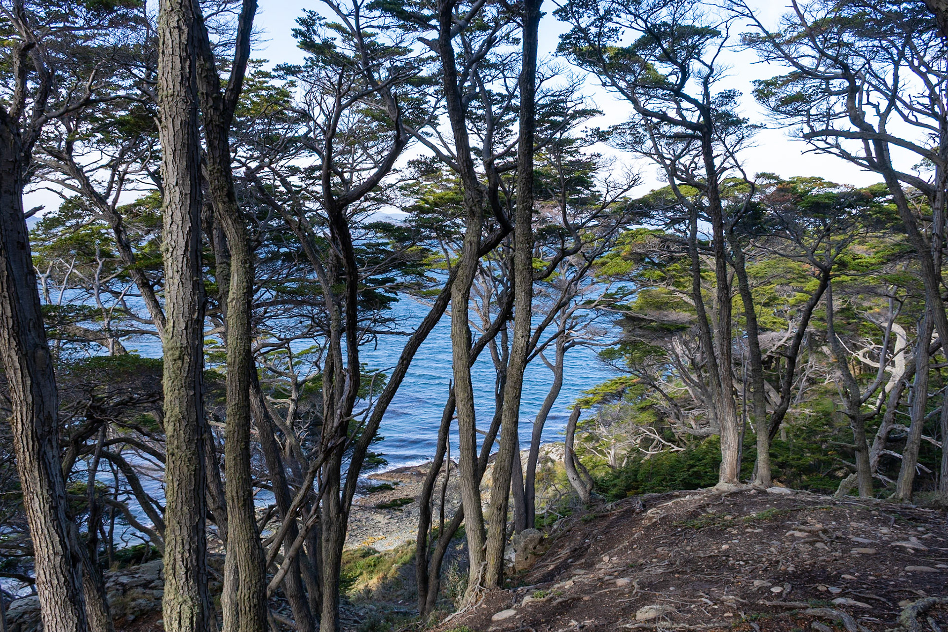 Beside Beagle Channel, Ushuaia