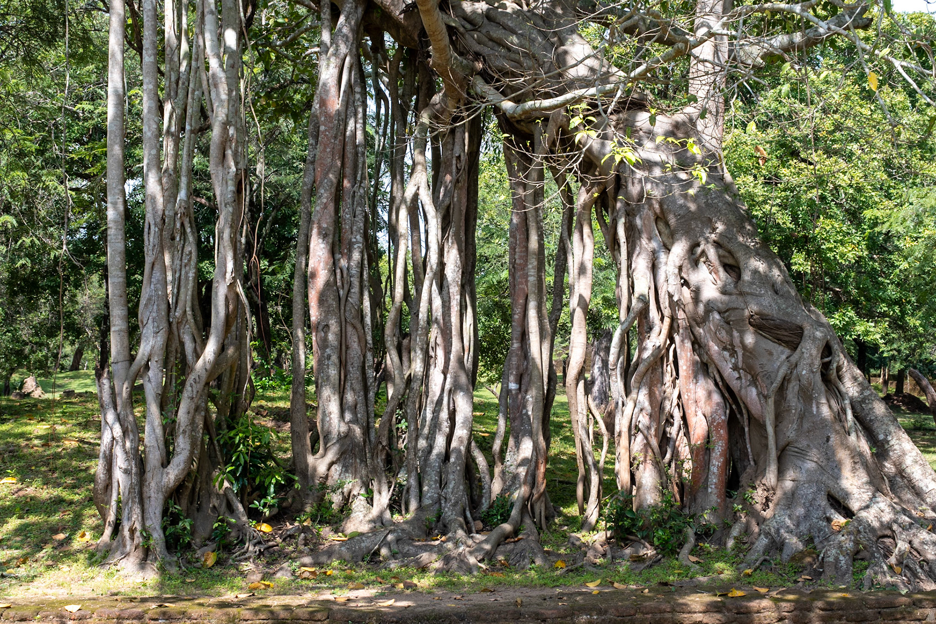 Vishnu Devale, Polonnaruwa