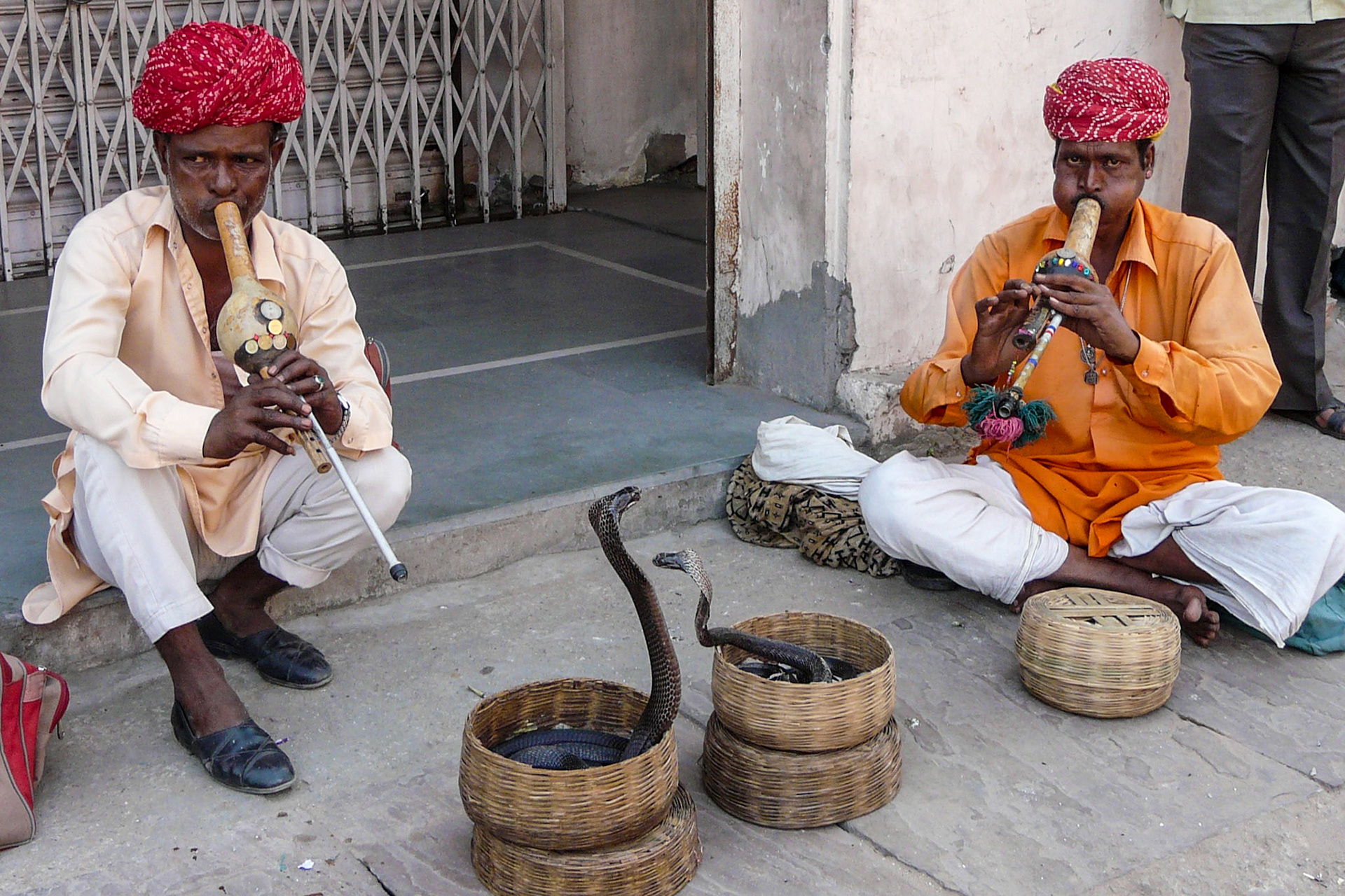 Snake charmers, Jaipur, India