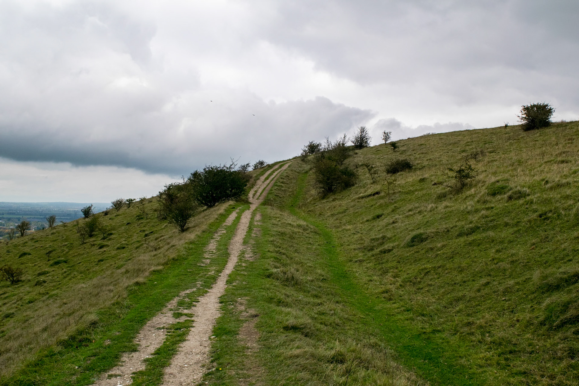 Ridgeway above Tring