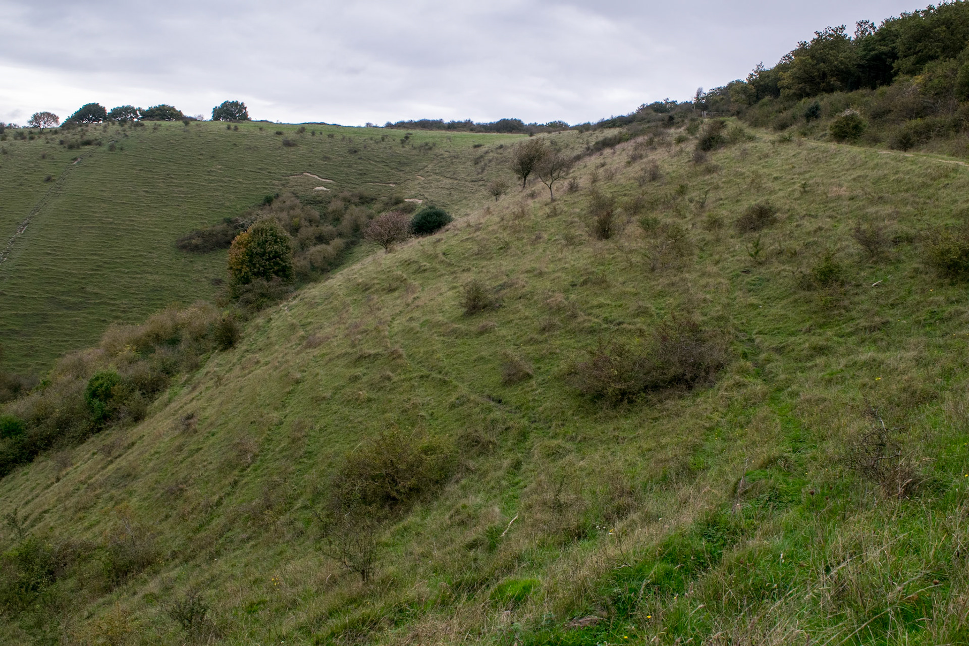 Approaching Beacon Hill, near Ivinghoe