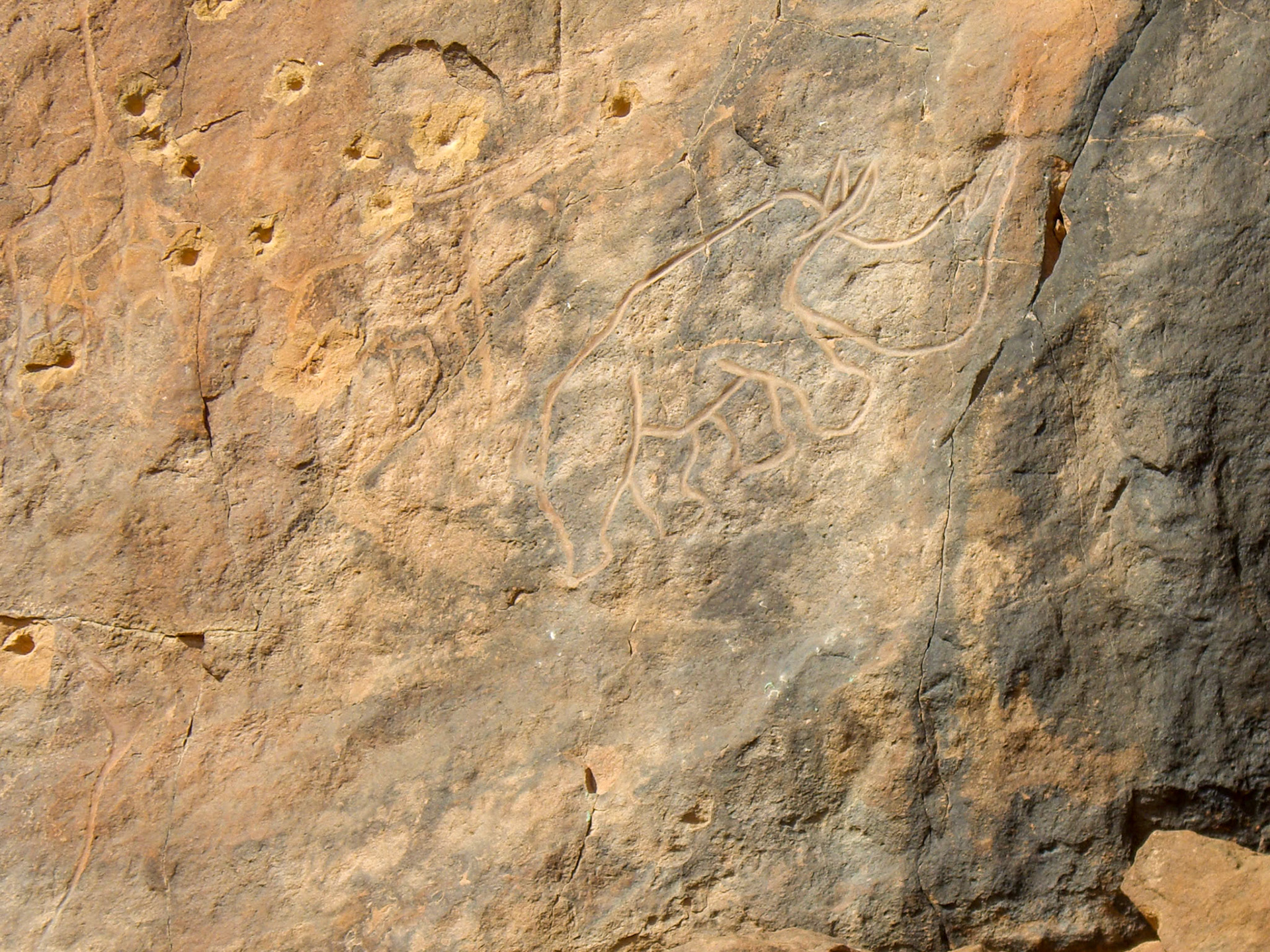 Carving of a rhinoceros with bullet holes, Wadi Methkandoush