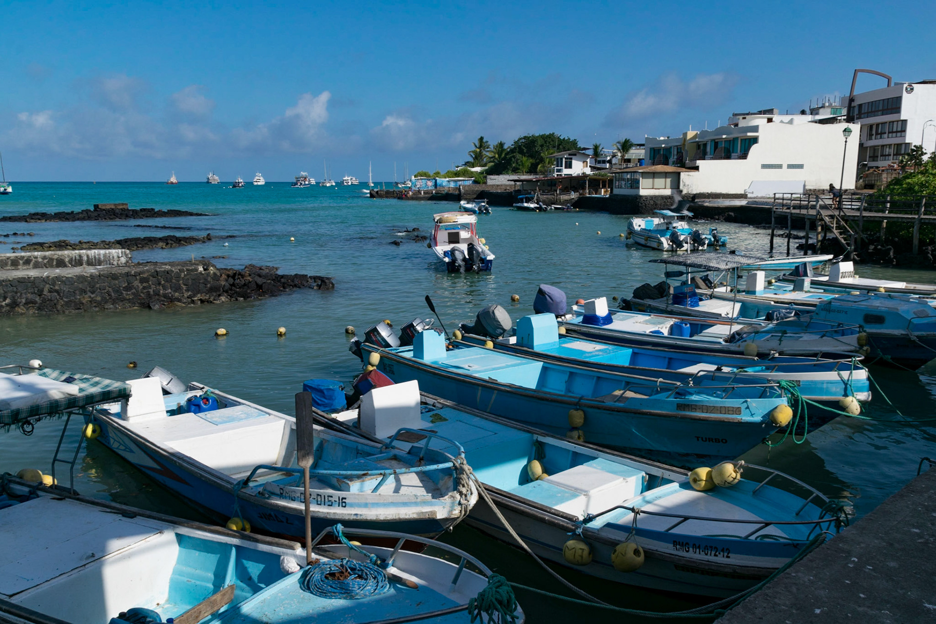 Puerto Ayora, Santa Cruz