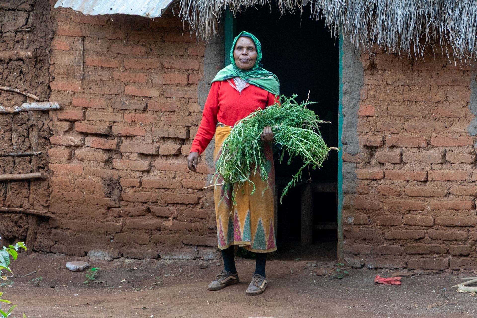 Bibi, Coffee Tour, Tloma, Tanzania