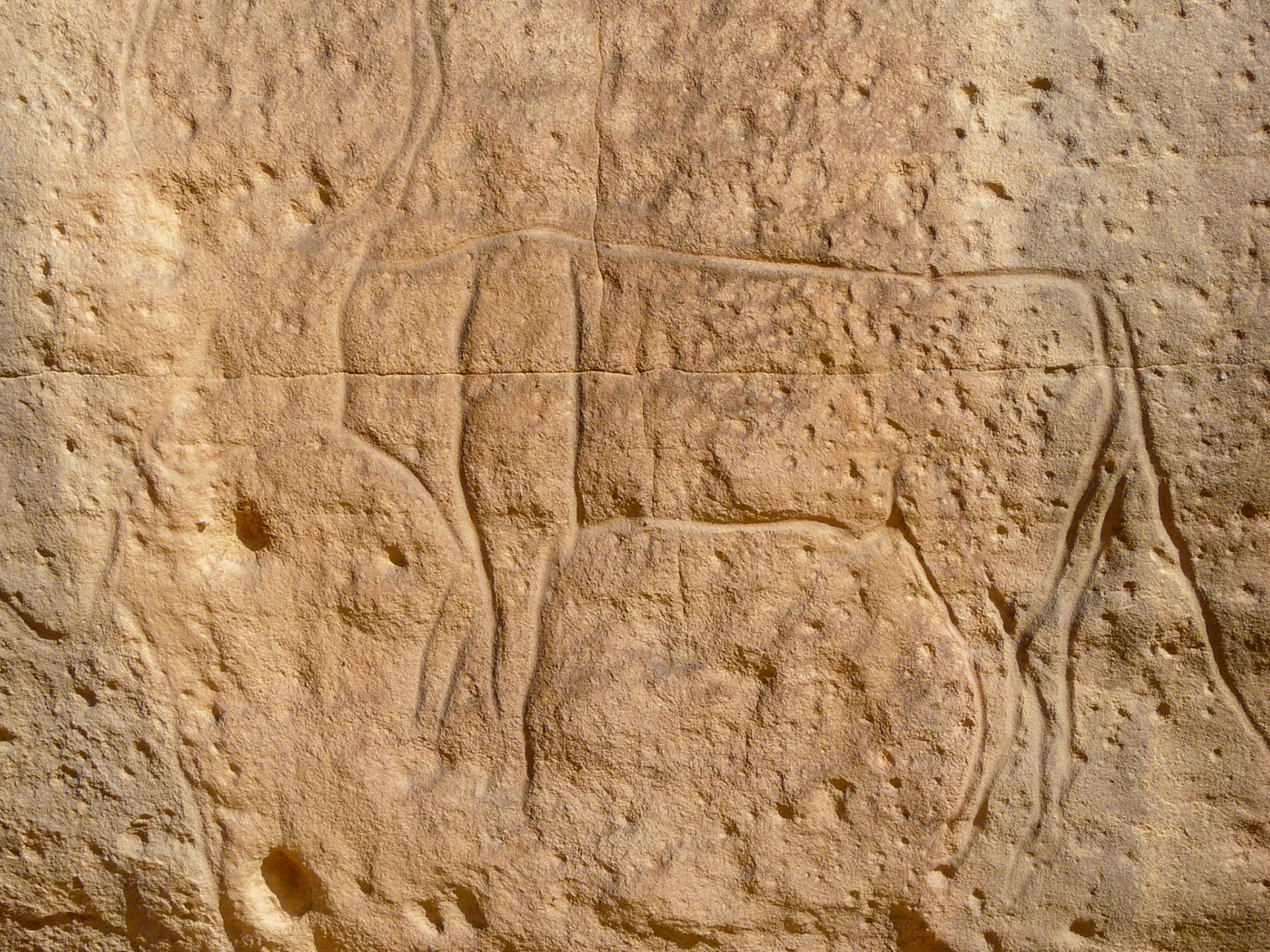 Carving of cow, Northern Akakus
