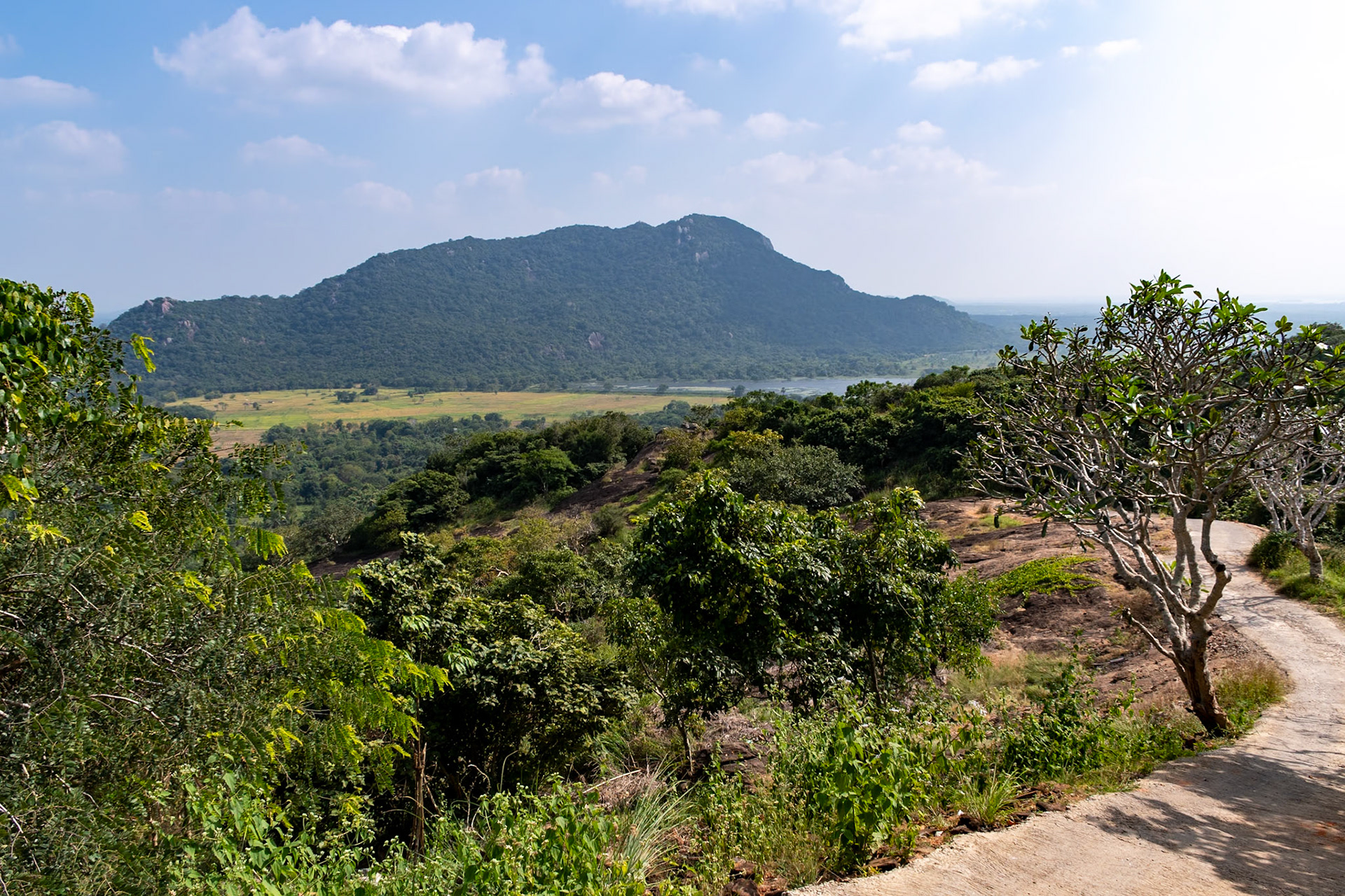 View from Mihindu Seya, Mihintale