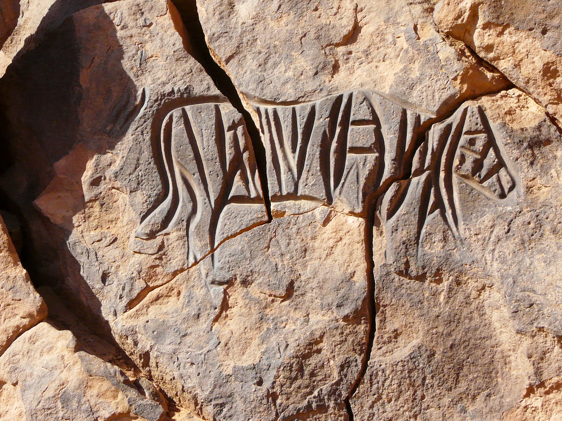 Carving of a bull, Wadi Methkandoush