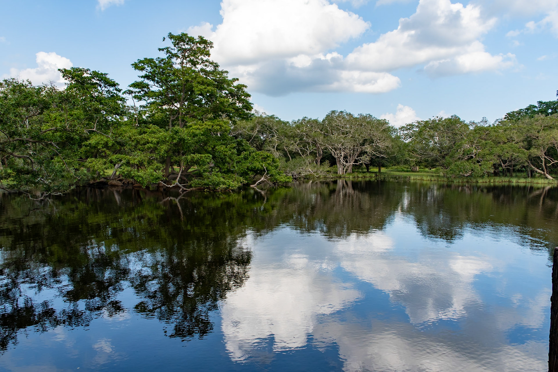 Wilpattu National Park, Sri Lanka