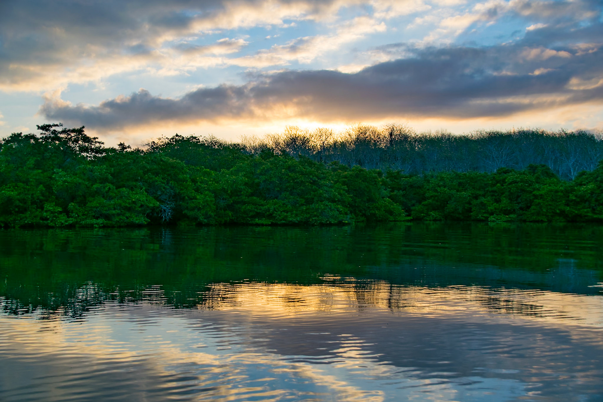 Sunrise over Turtle Cove, Santa Cruz, Ecuador