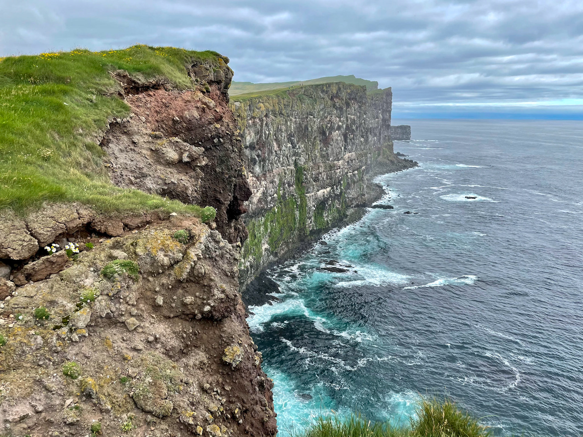 Cliffs, Latrabjarg, Iceland