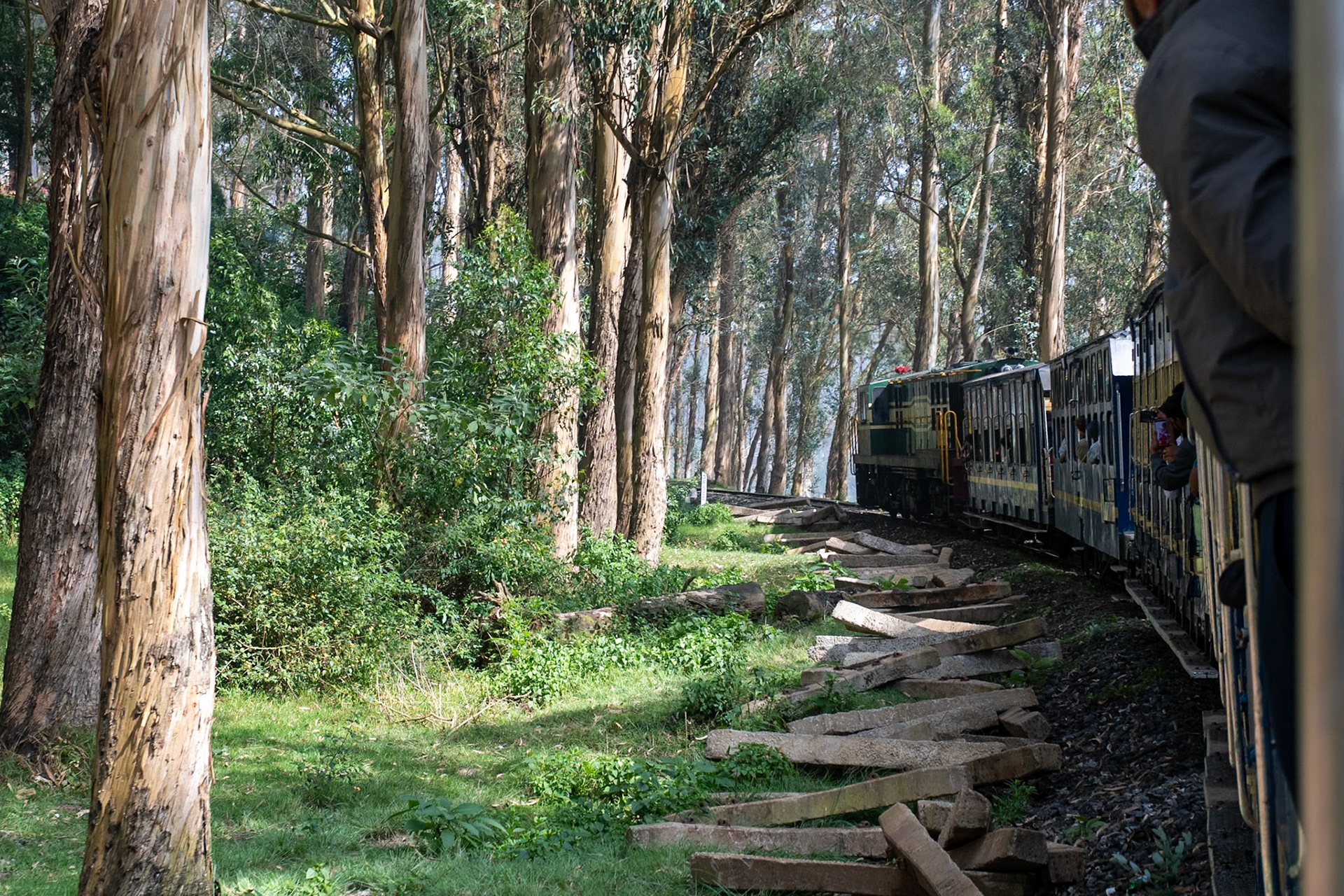 View from train, en route to Coonoor