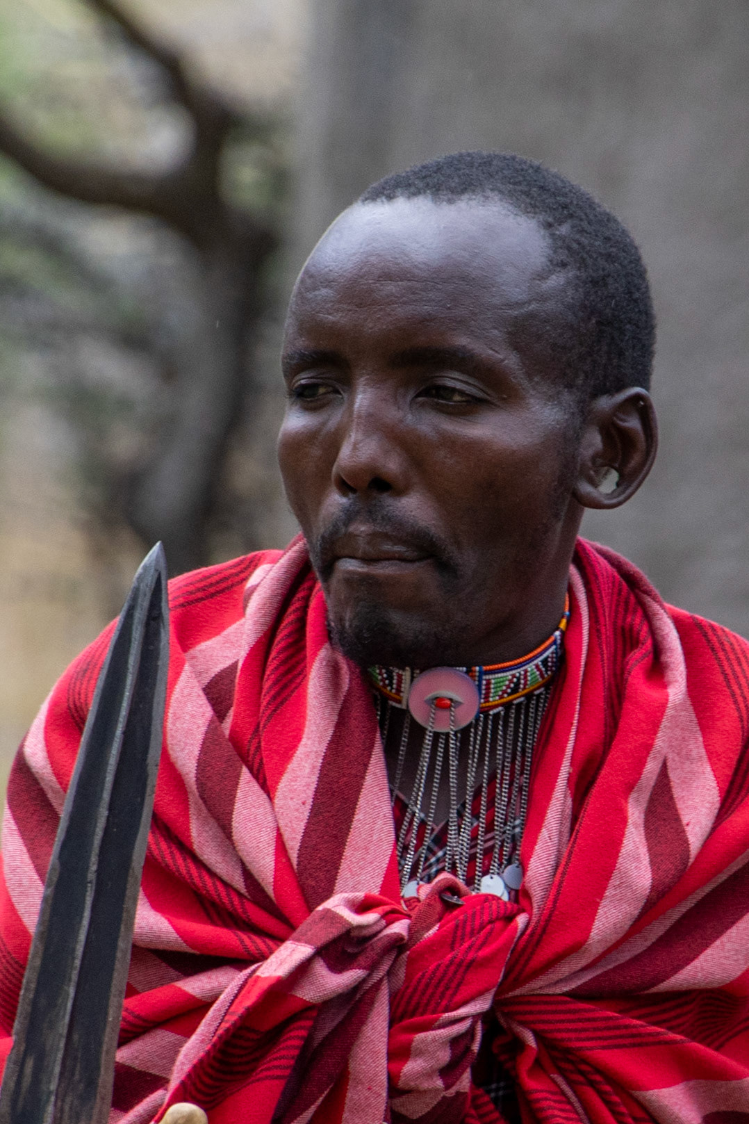Maasai Warrior, Maasai Village, Tepesua, Kenya