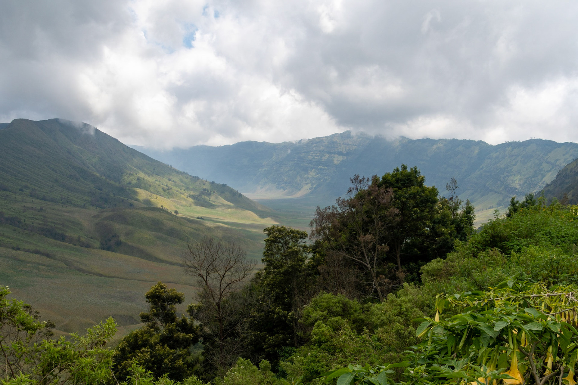 Looking in to crater, Mount Bromo