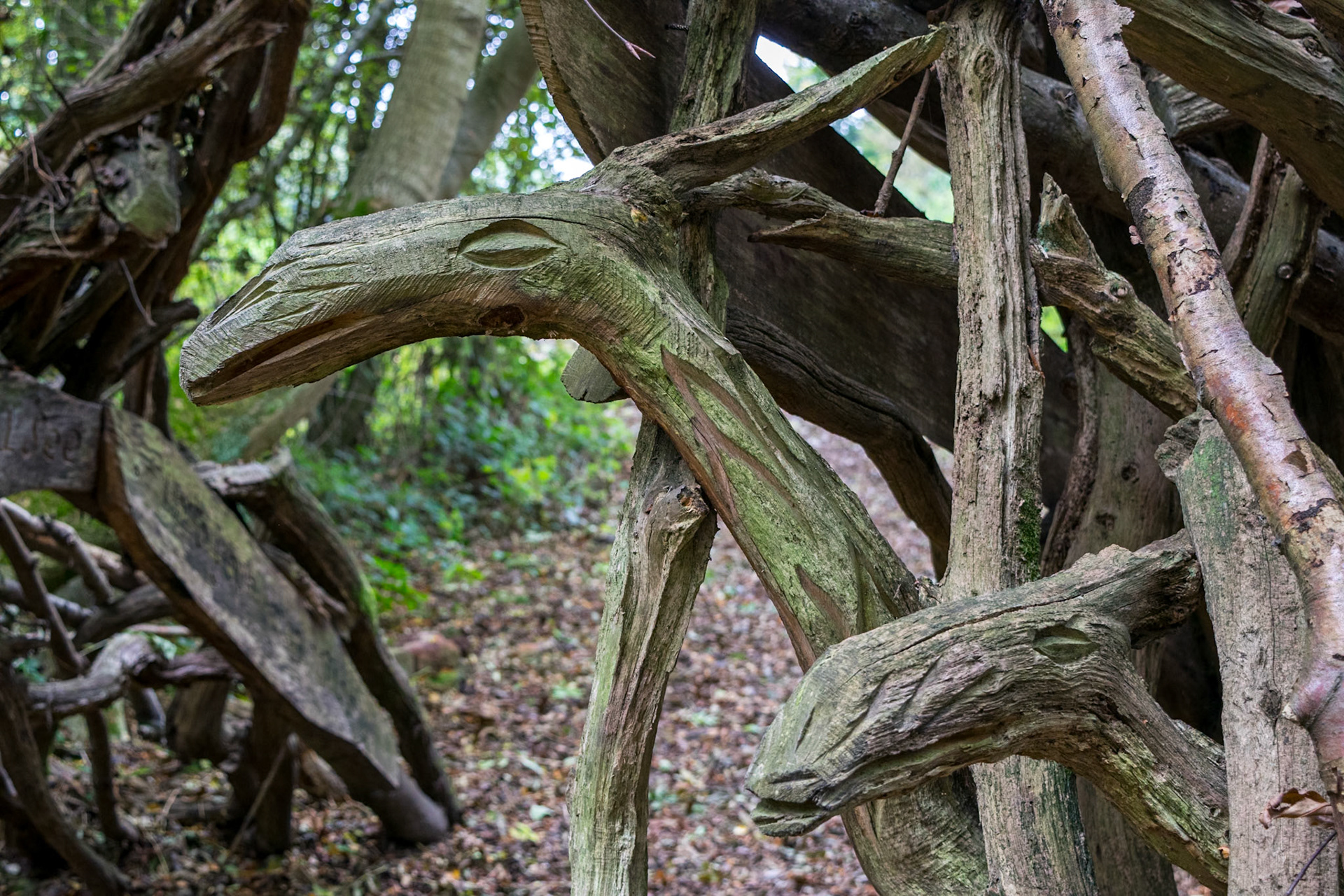 Wood sculptures near Hastoe