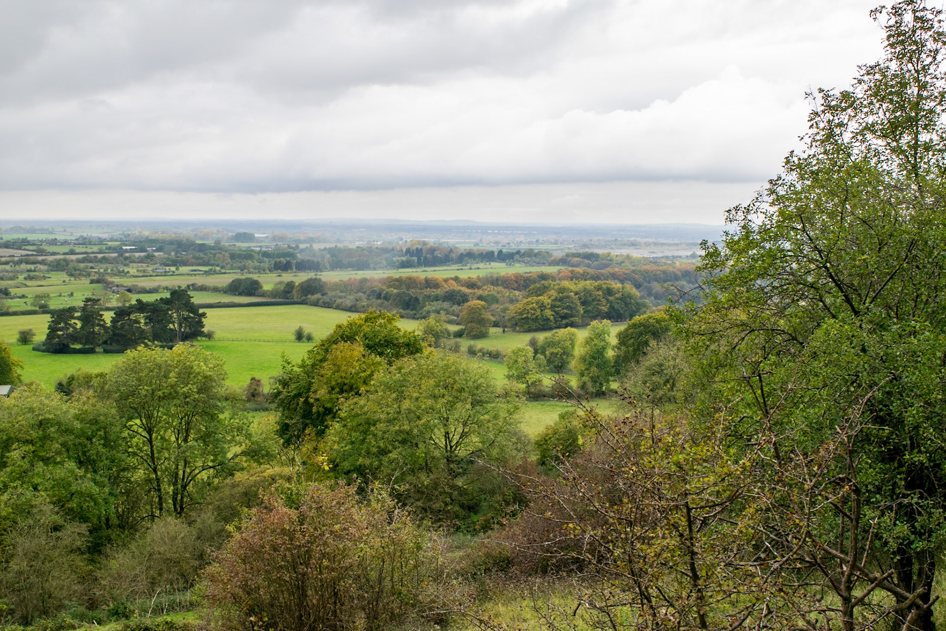 View from Ridgeway above Tring
