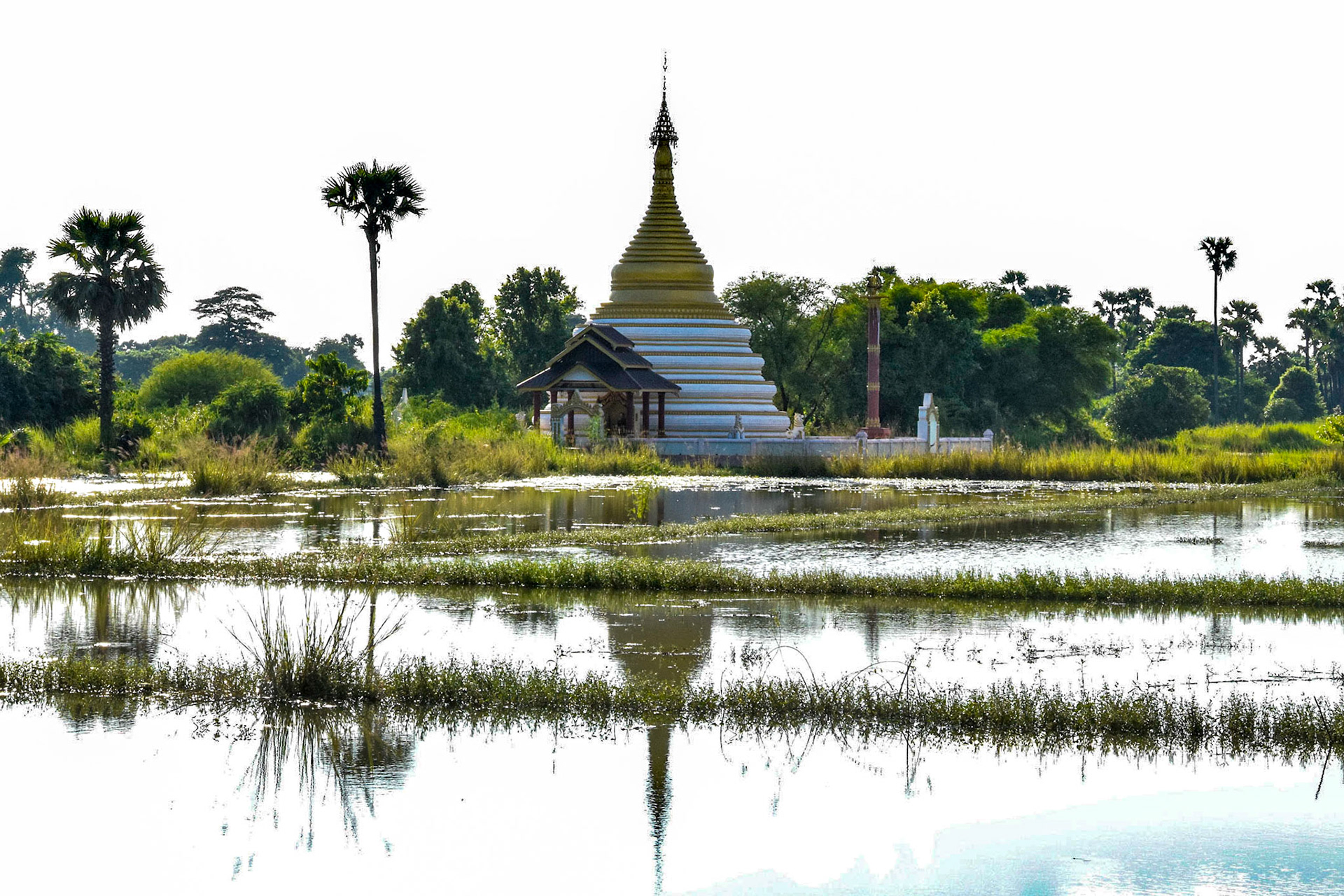 Pagoda across padi fields, Innwa, Myanmar