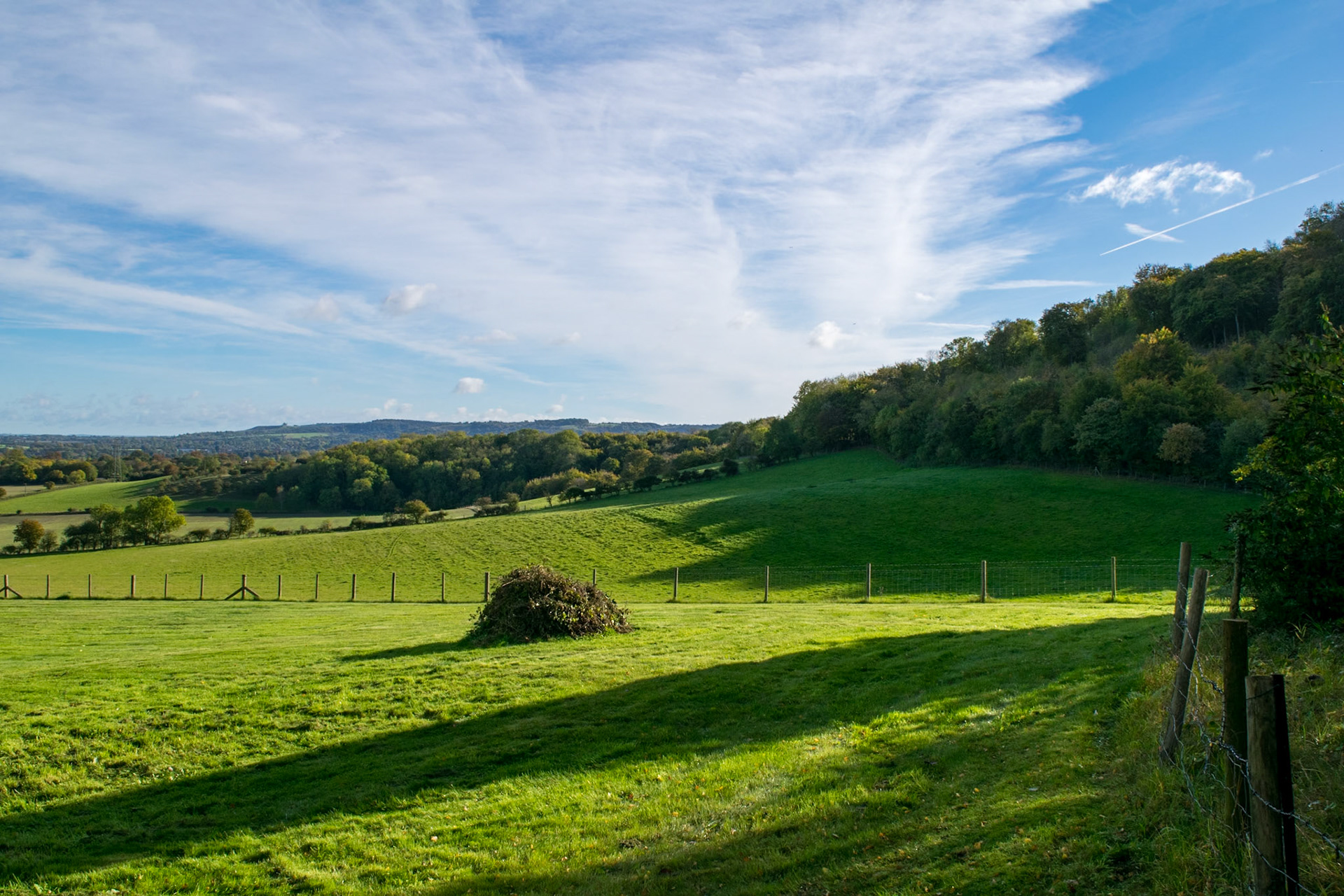 View from Path near Chinnor