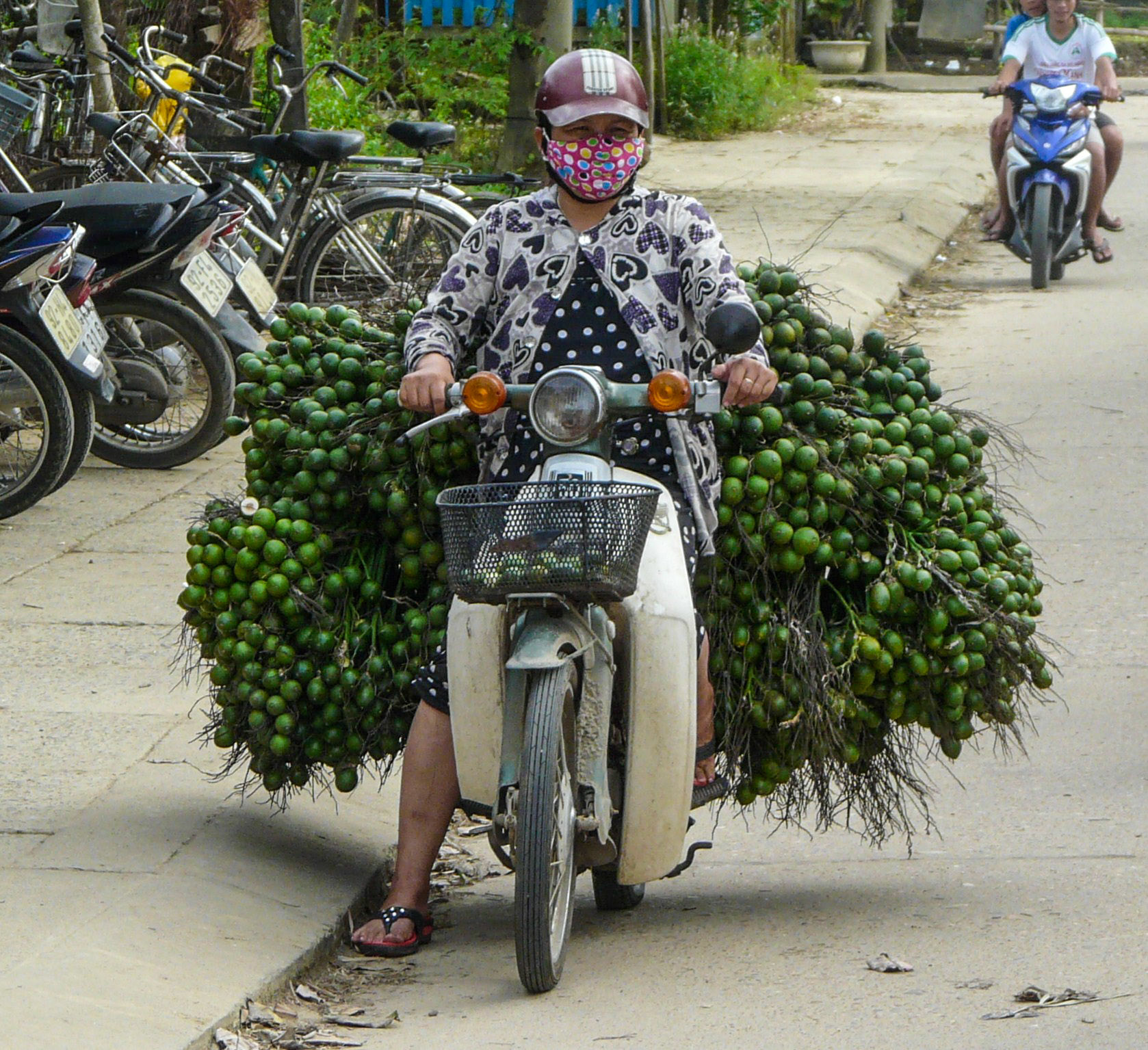 Lady with vegetables, near Hoi An, Vietnam
