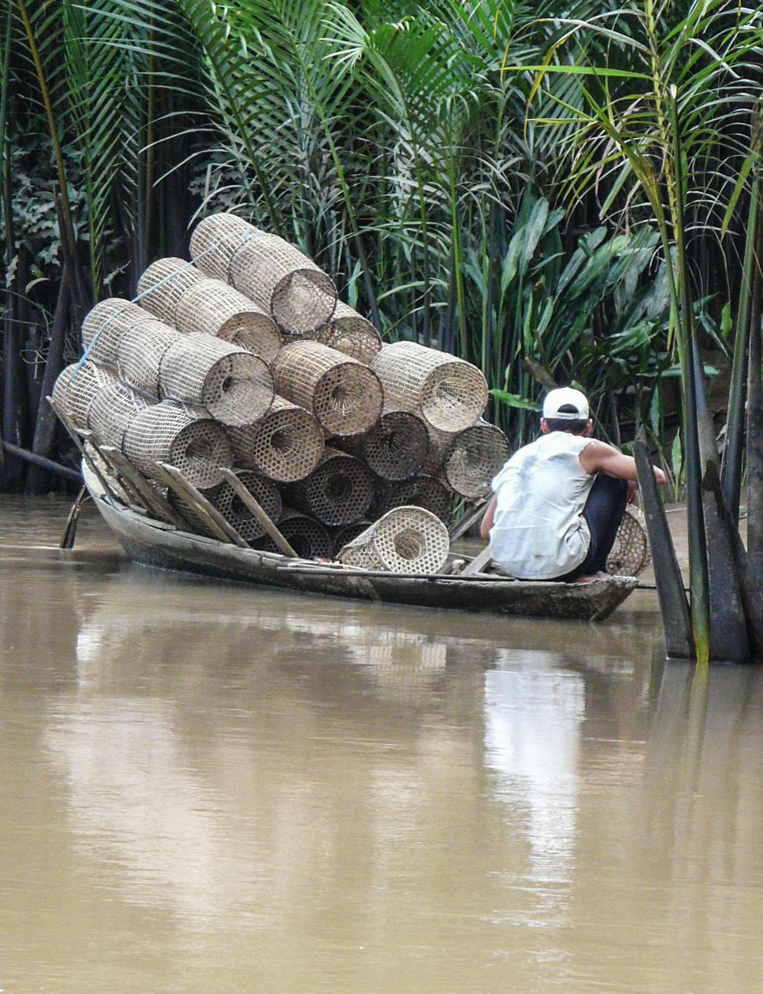 Fisherman setting traps, Mekong Delta, Vietnam