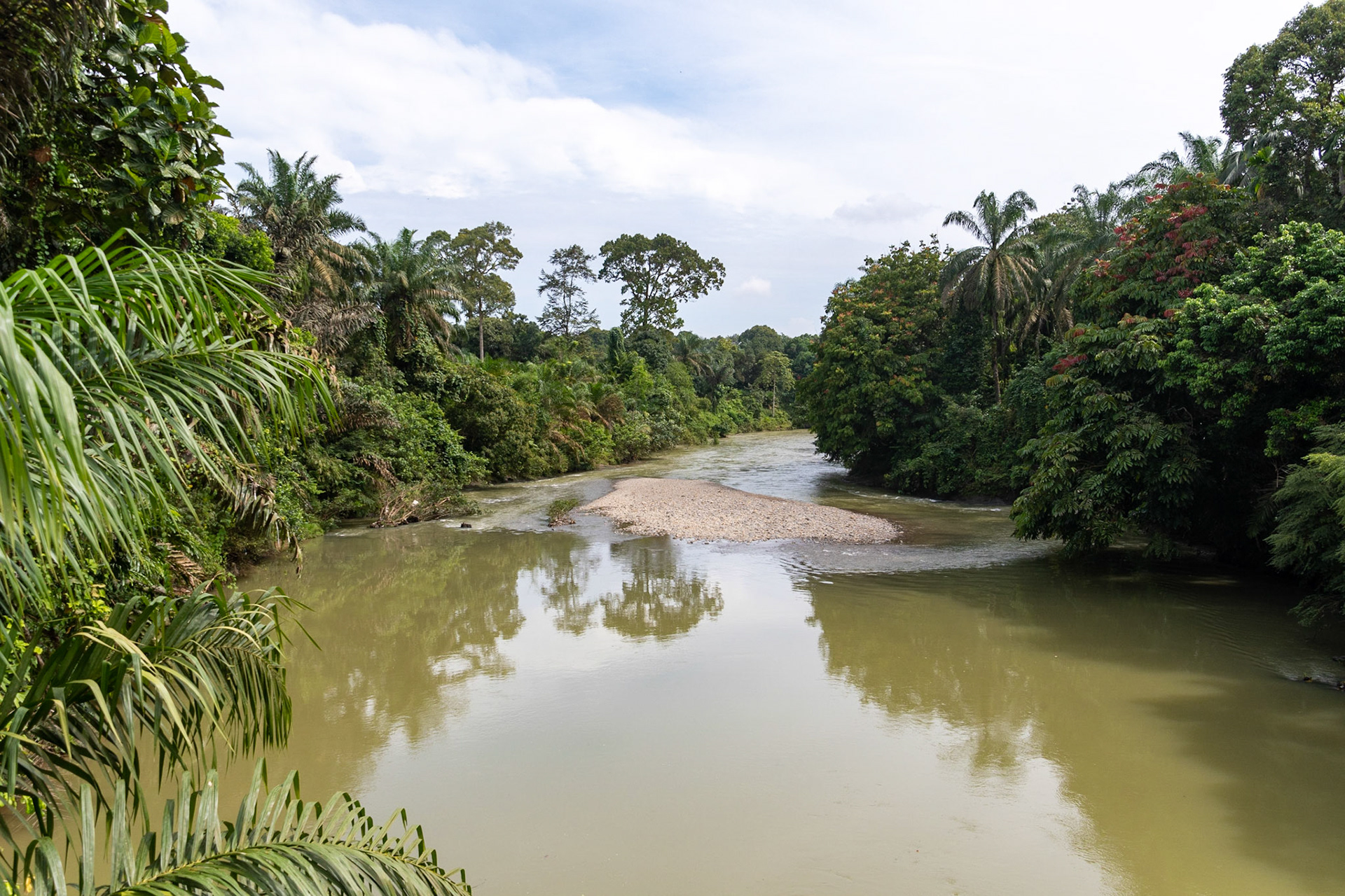 River scene, en route to Tangkahan