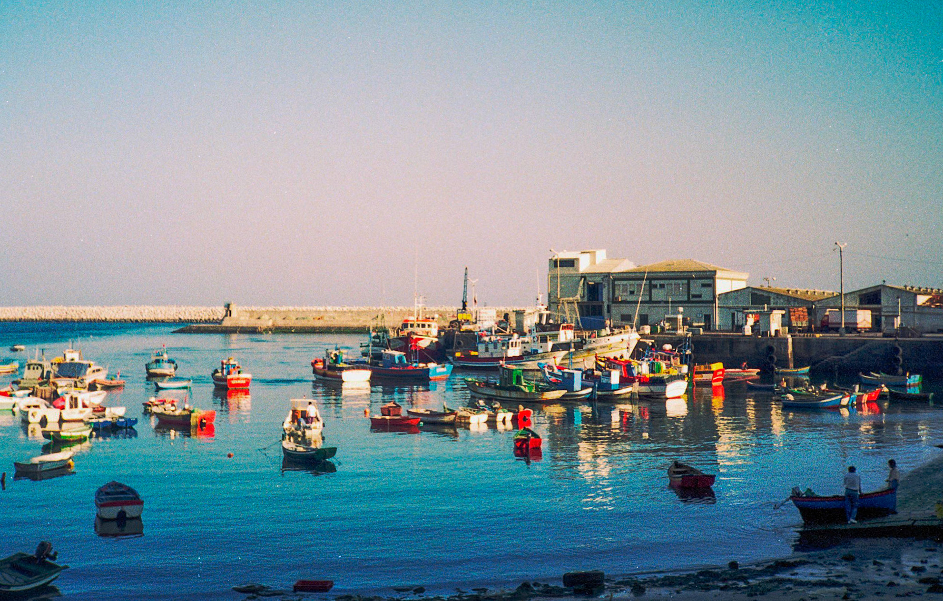 Harbour, Sesimbra