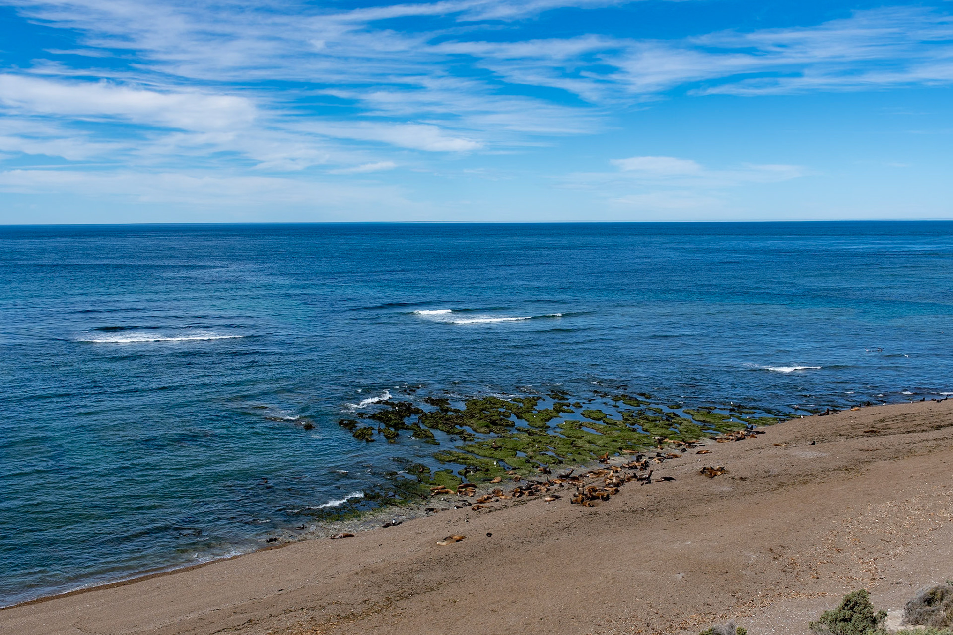 Coastline, Punte Norte, Peninsula Valdes, Argentina