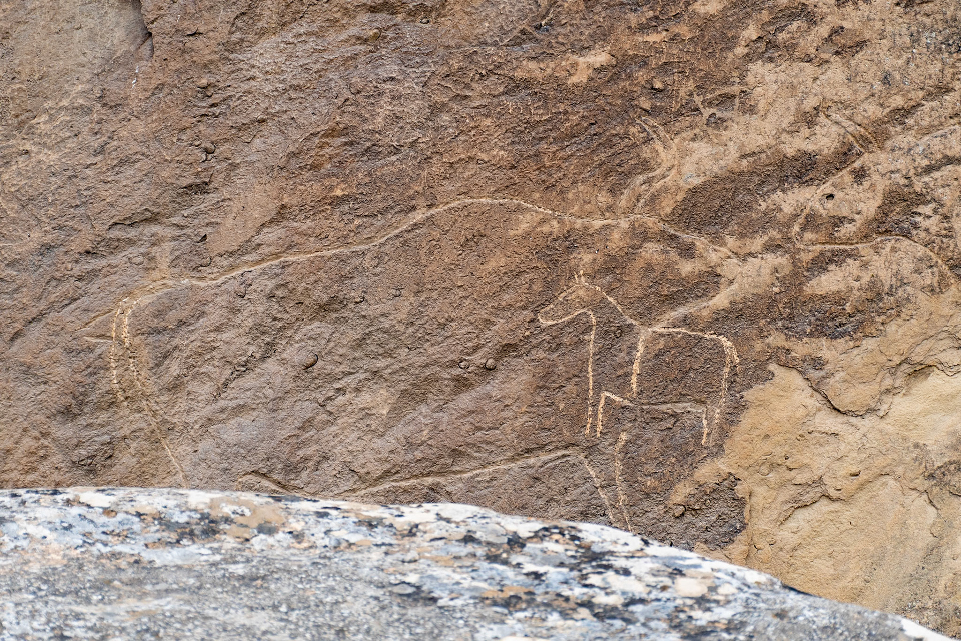 Petroglyphs, Qobustan