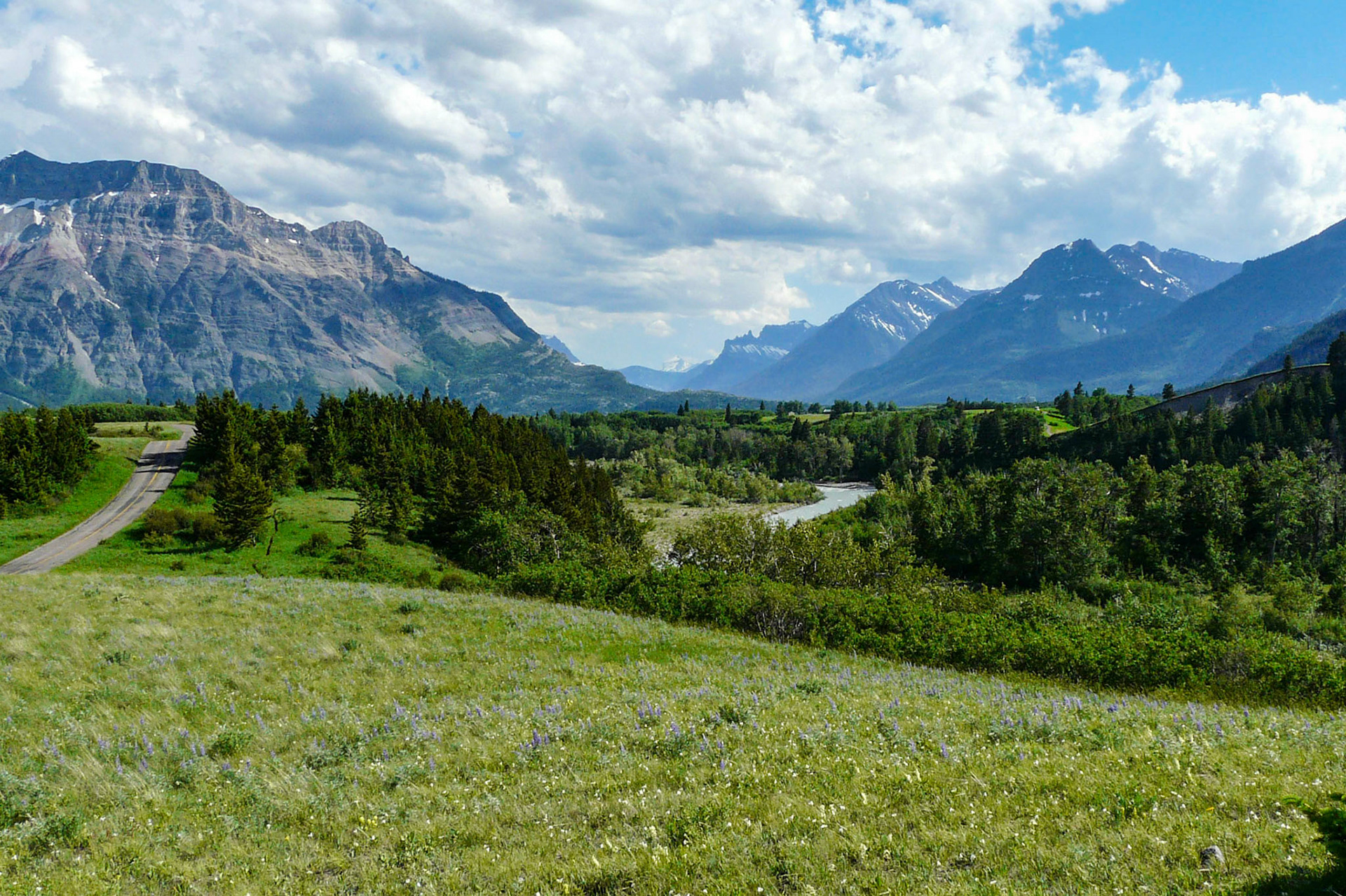 Alpine meadow, near Waterton, AB