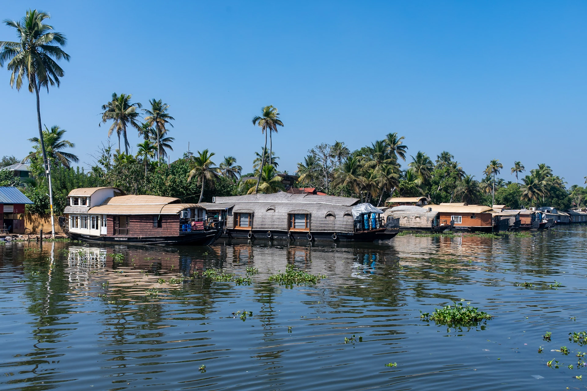Houseboats, Backwaters, Alleppey