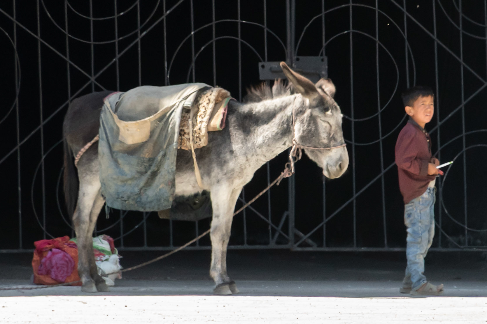 Boy with donkey, near Istaravashan, Tajikistan