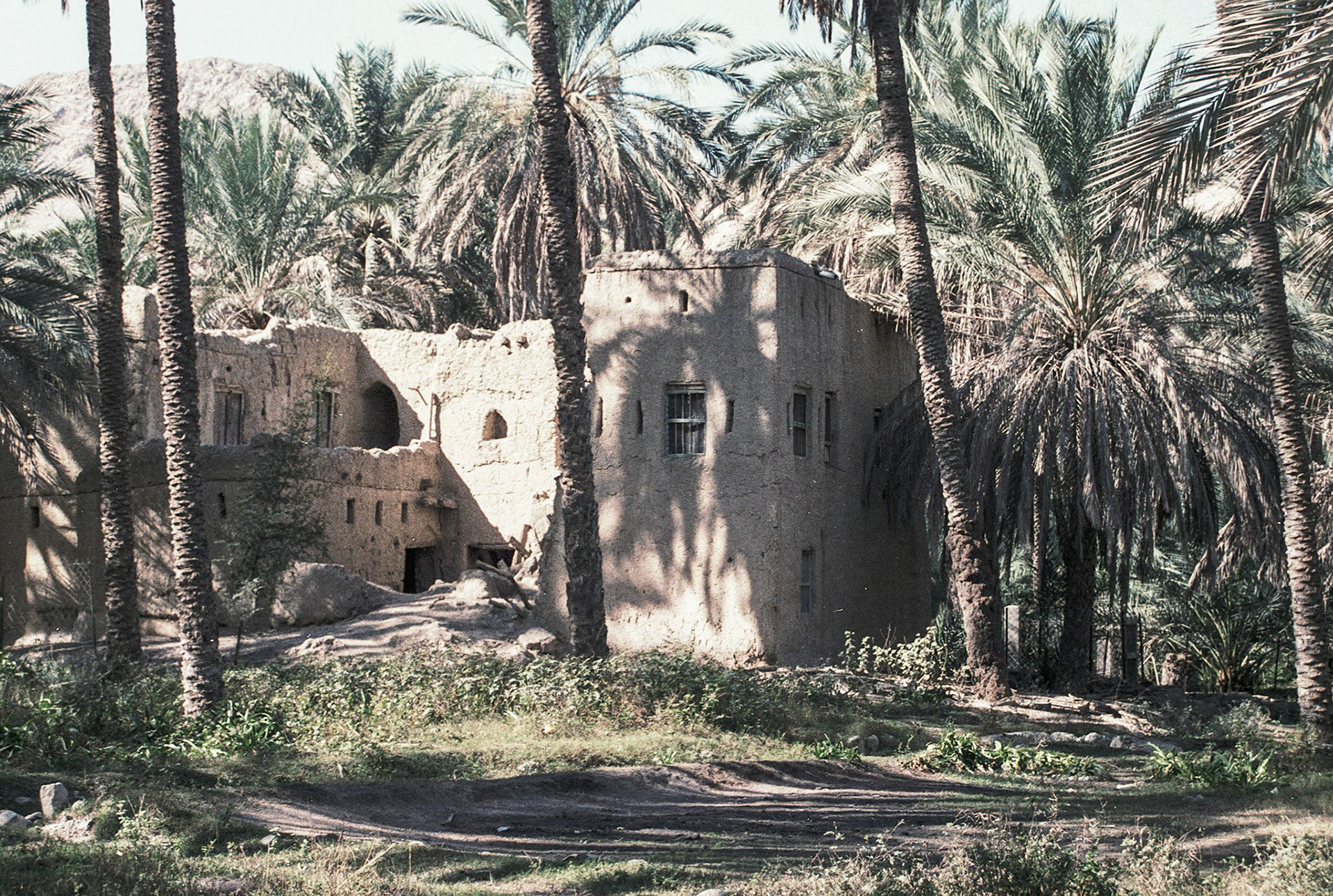 Old house amid date palms, Wadi Bani Kharus