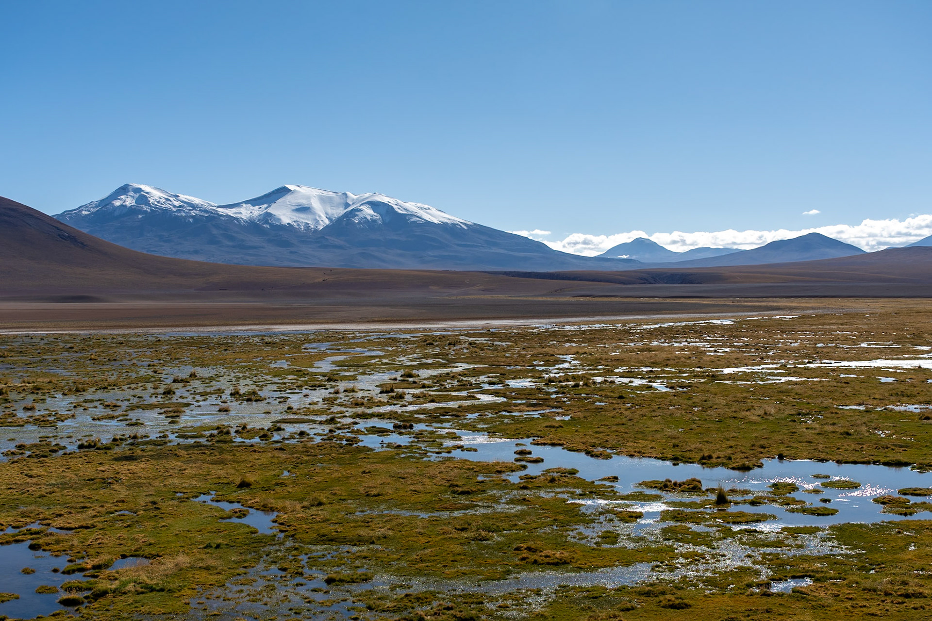 Wetlands, near Machuca, San Pedro de Atacama, Chile