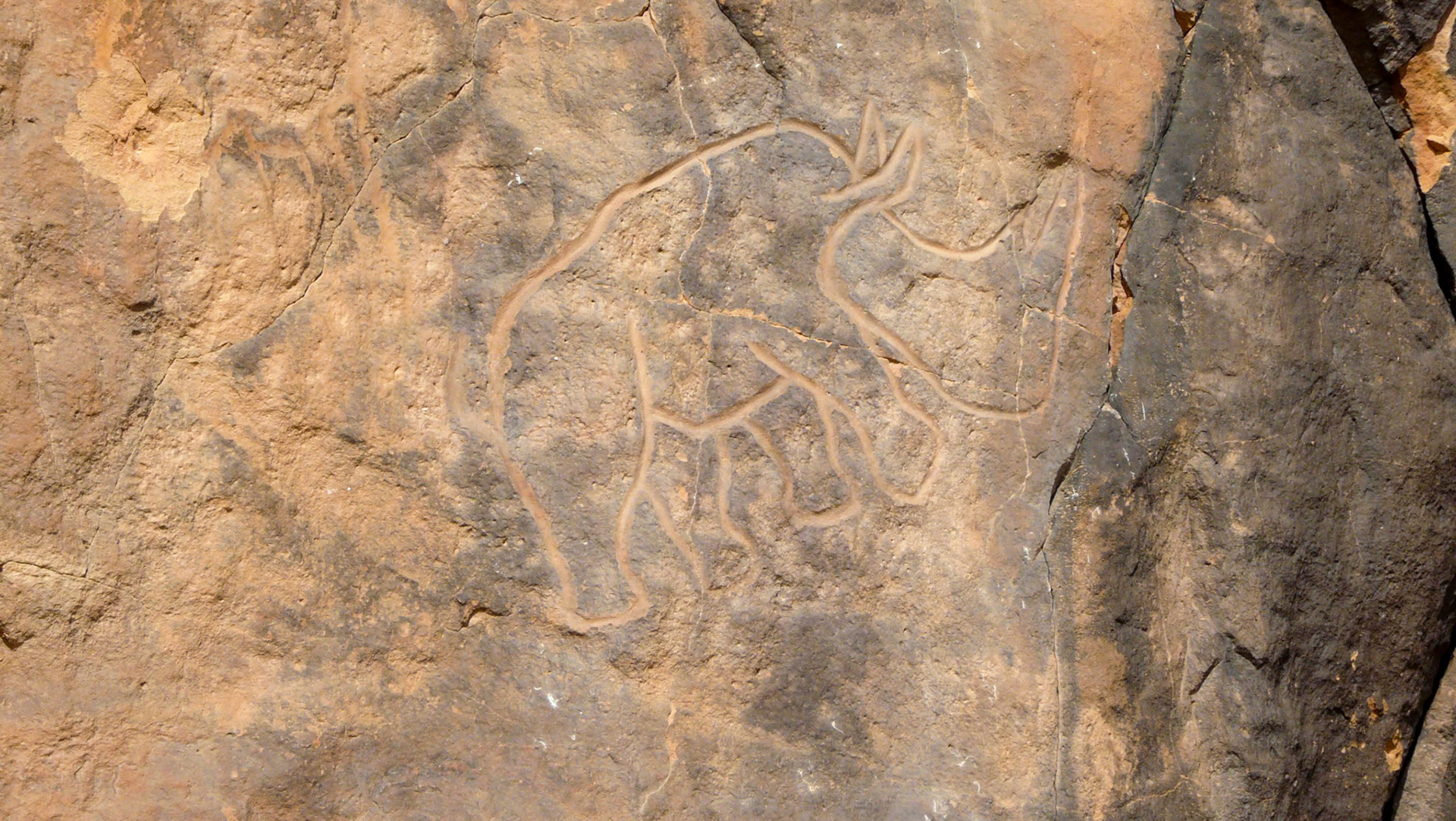 Carving of a rhinoceros, Wadi Methkandoush