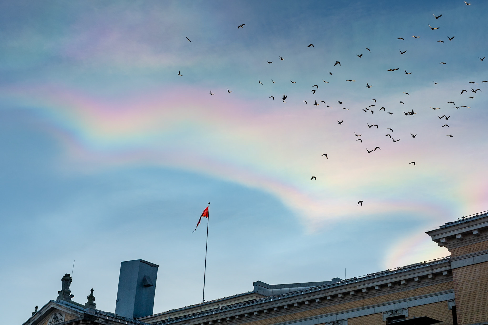 Cloud iridescence, Oslo