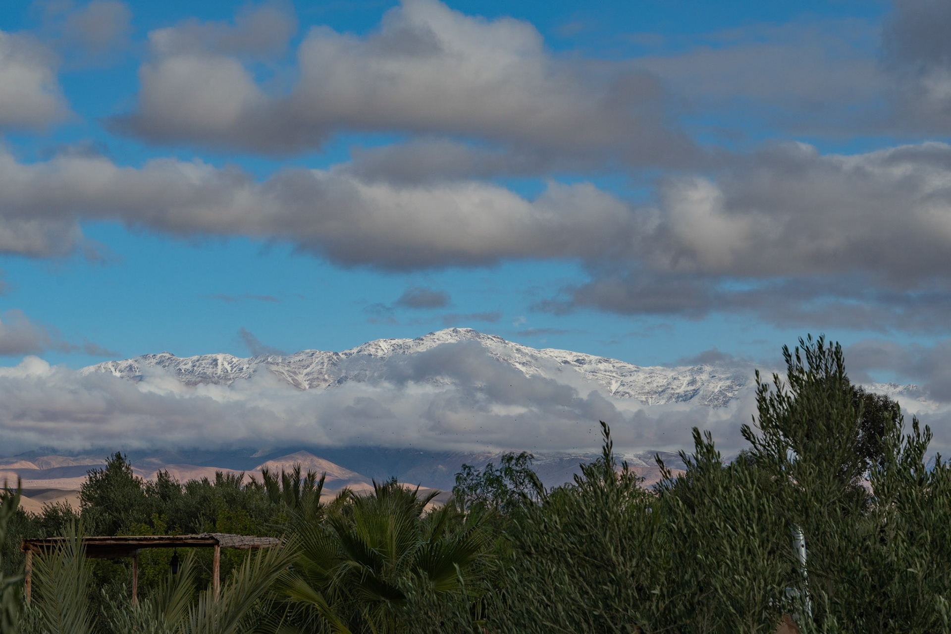 View towards snow-covered High Atlas, Skoura, Morocco