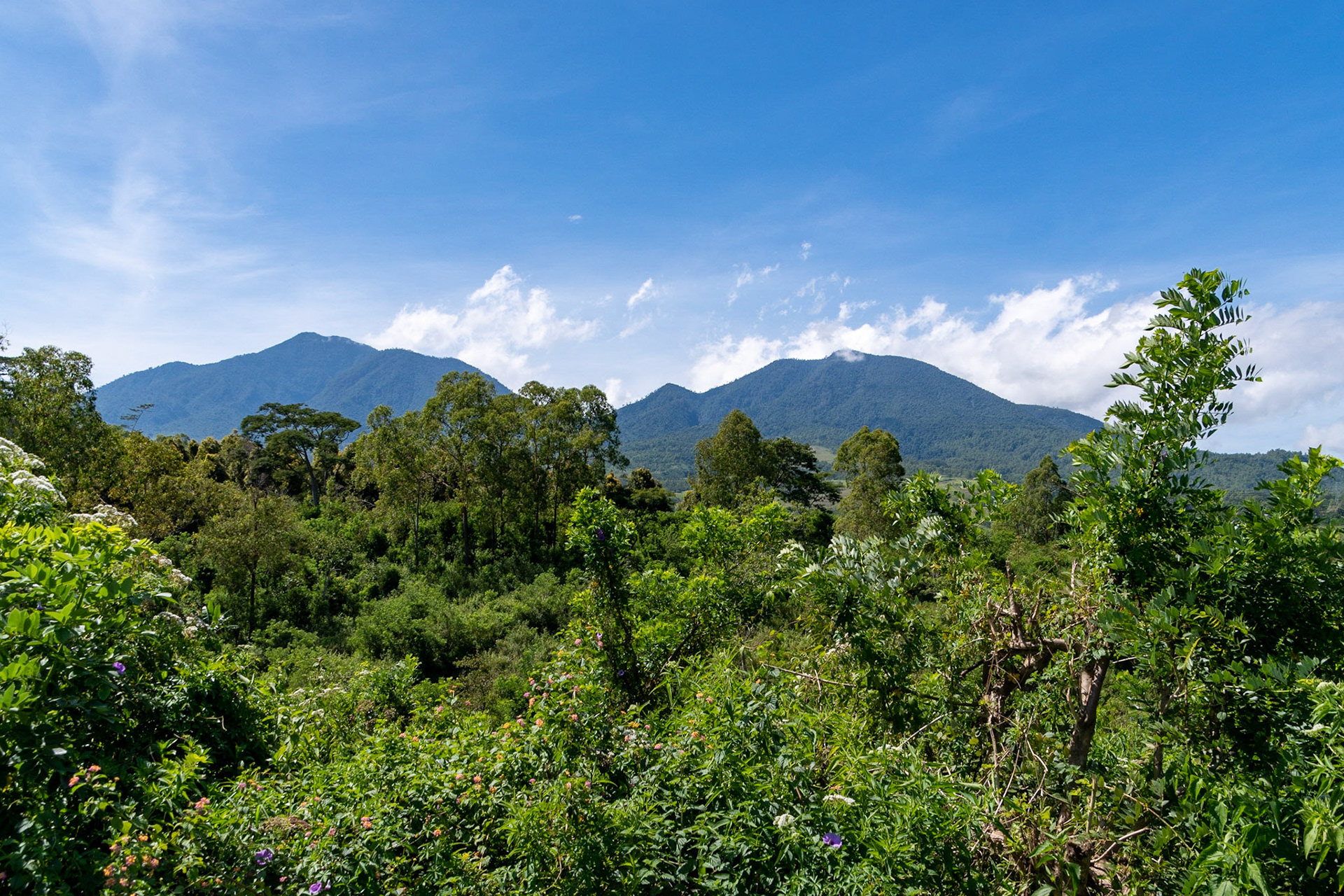 View towards mountains, Ruteng