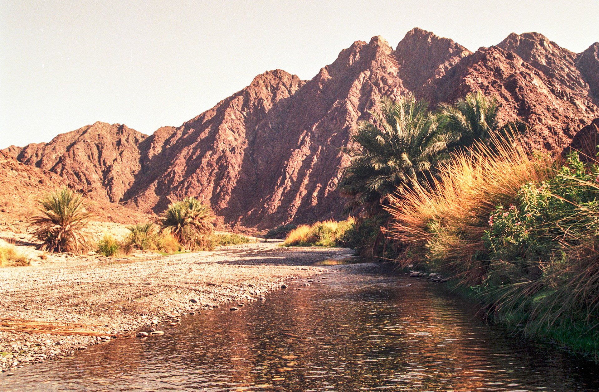 Wadi Abiyadh