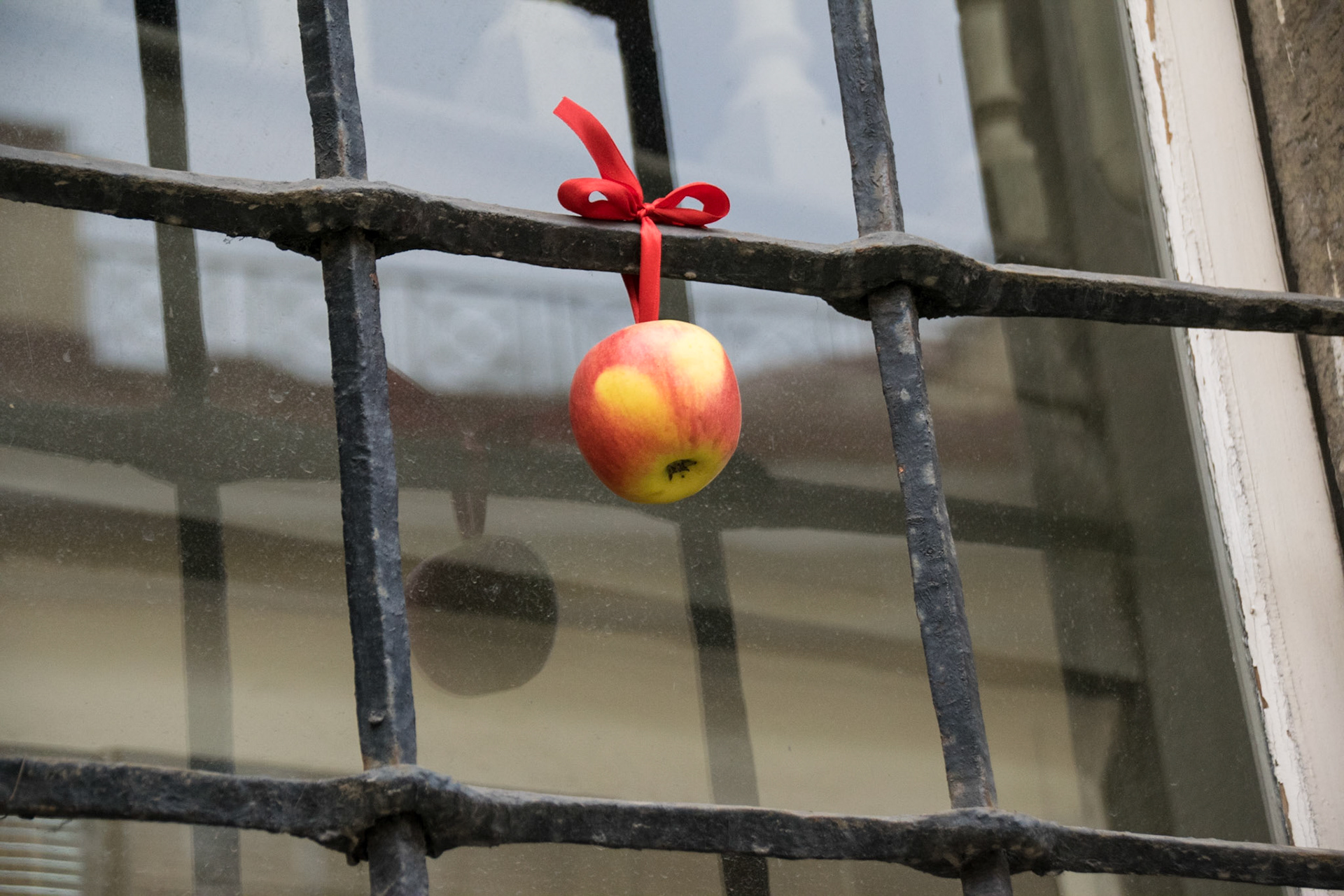Apple window decoration, Tallinn