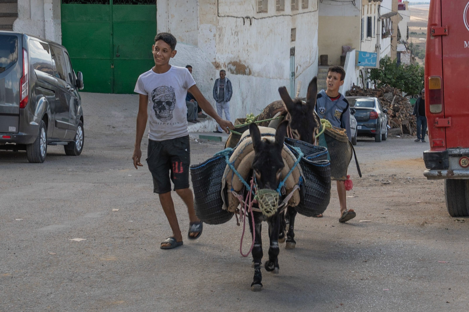 Two boys with donkeys, Moulay Idriss, Morocco