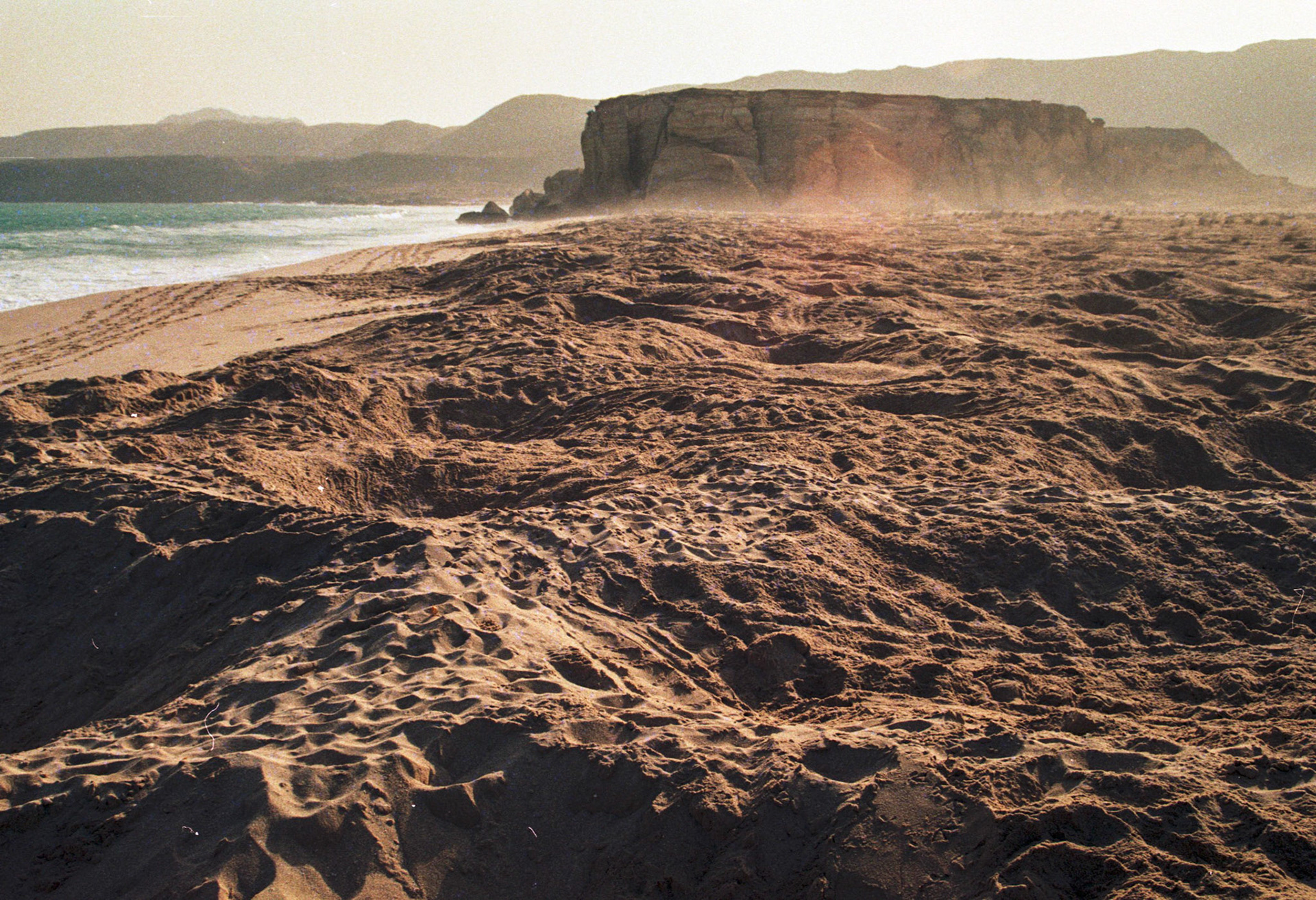 Turtle nests, Ras Al Junayz