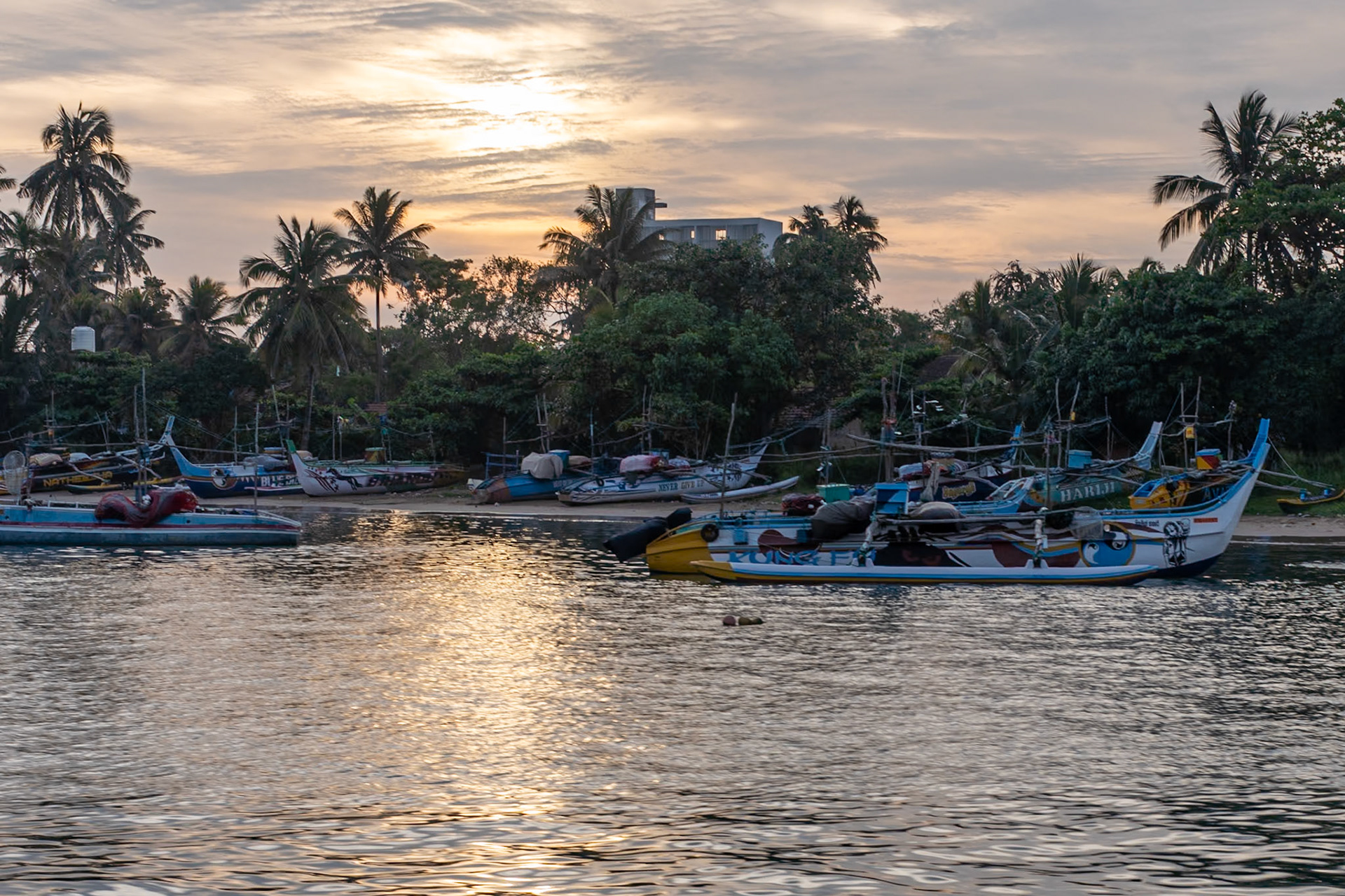 Fishing boats, Mirissa