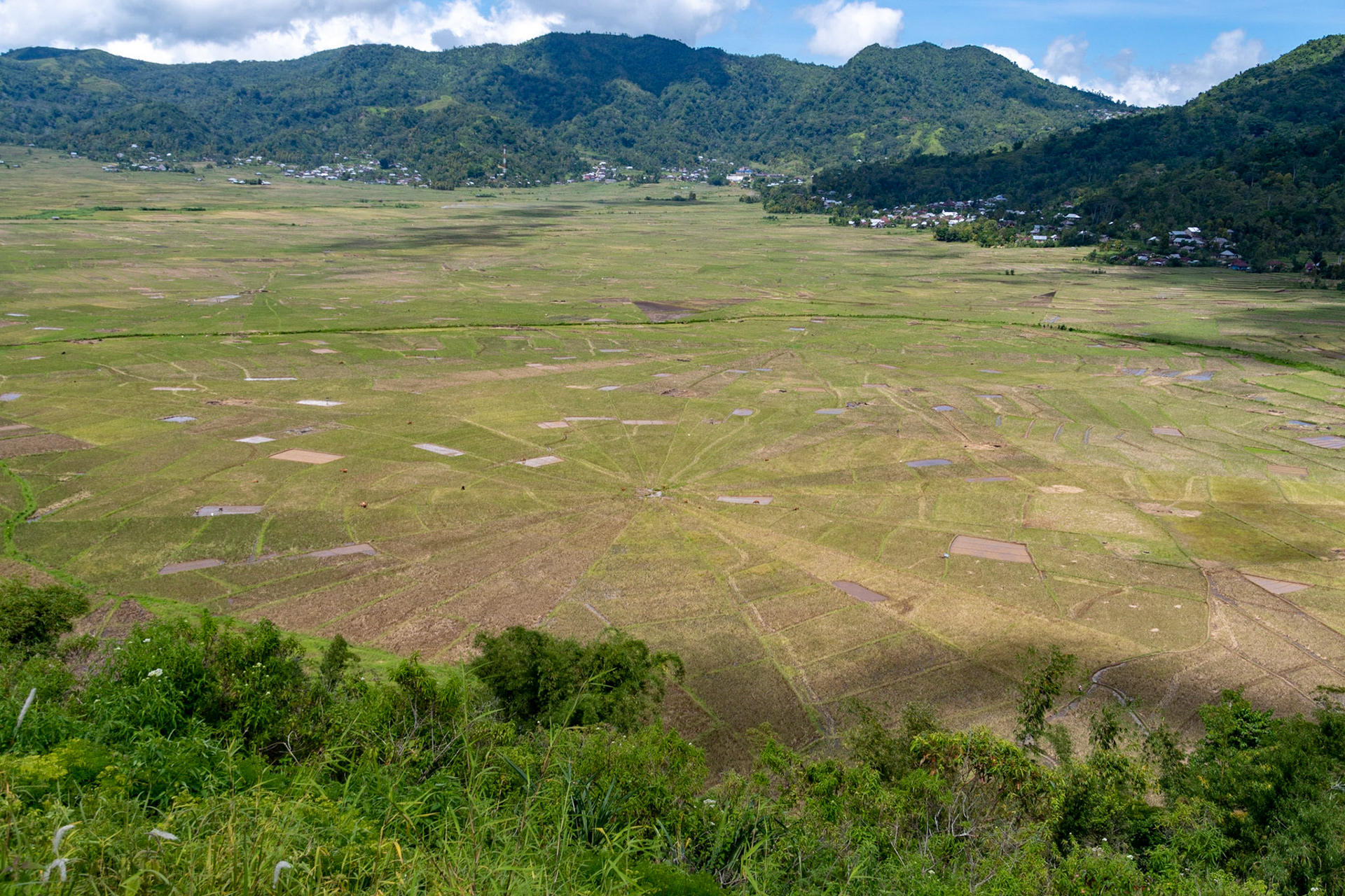 View over spider-web padi fields, Cancar