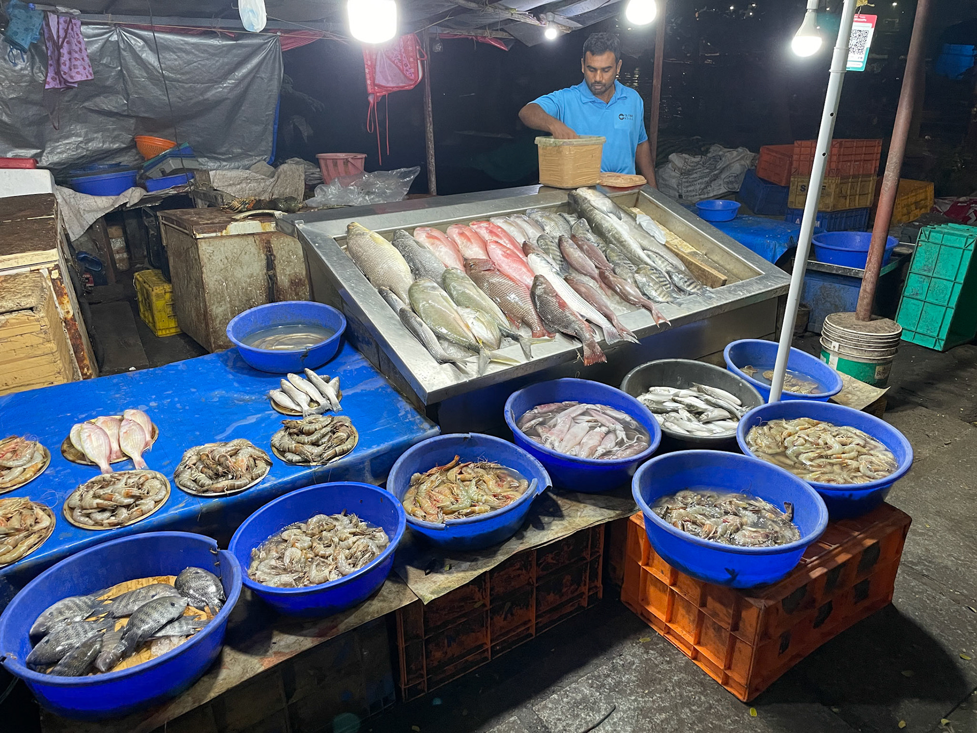 Fish stall on beachfront, Kochi