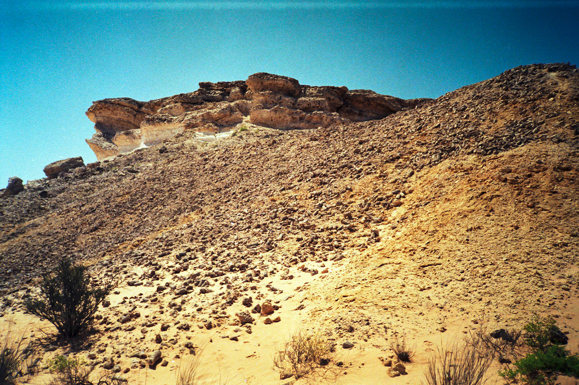 Fossil beds, Huqf