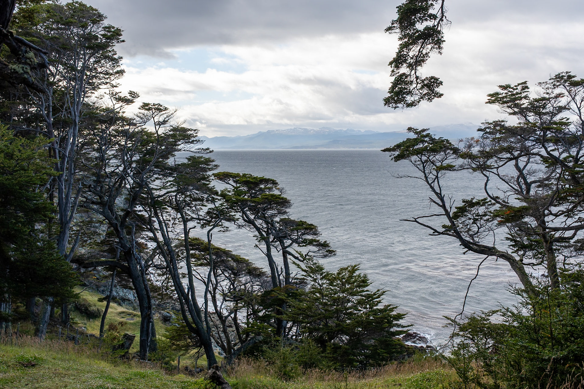 Beside Beagle Channel, Ushuaia