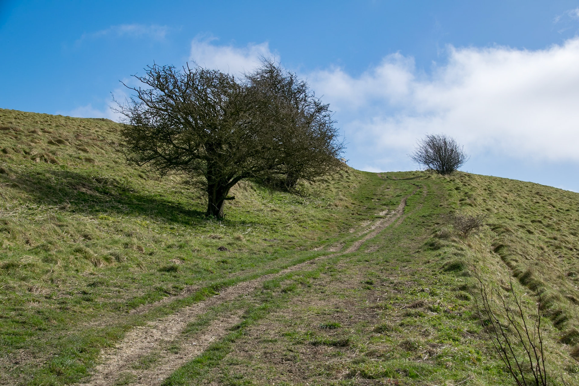 Path to Barbury Castle