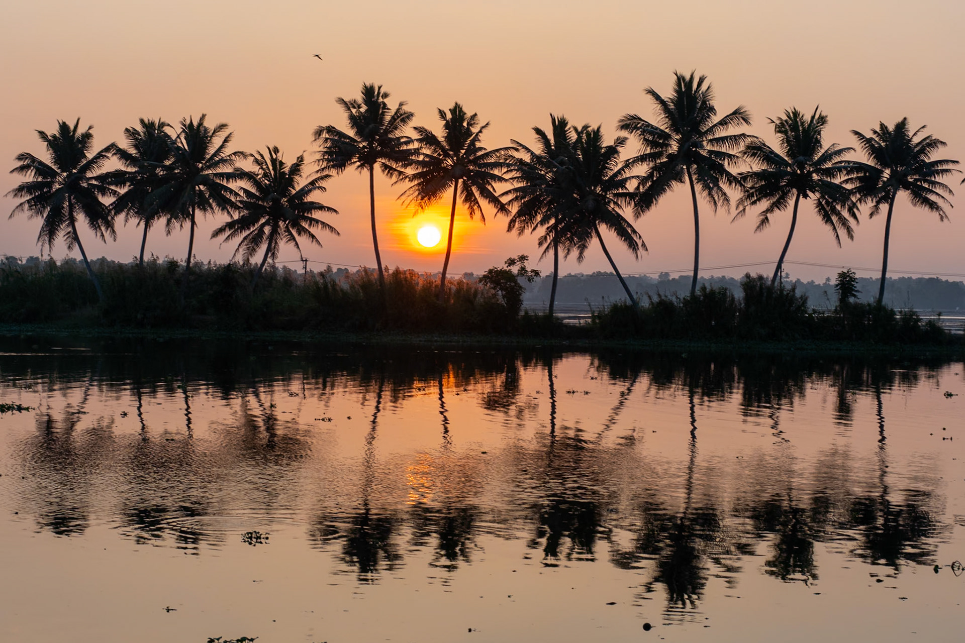 Sunset, Backwaters, Alleppey, India