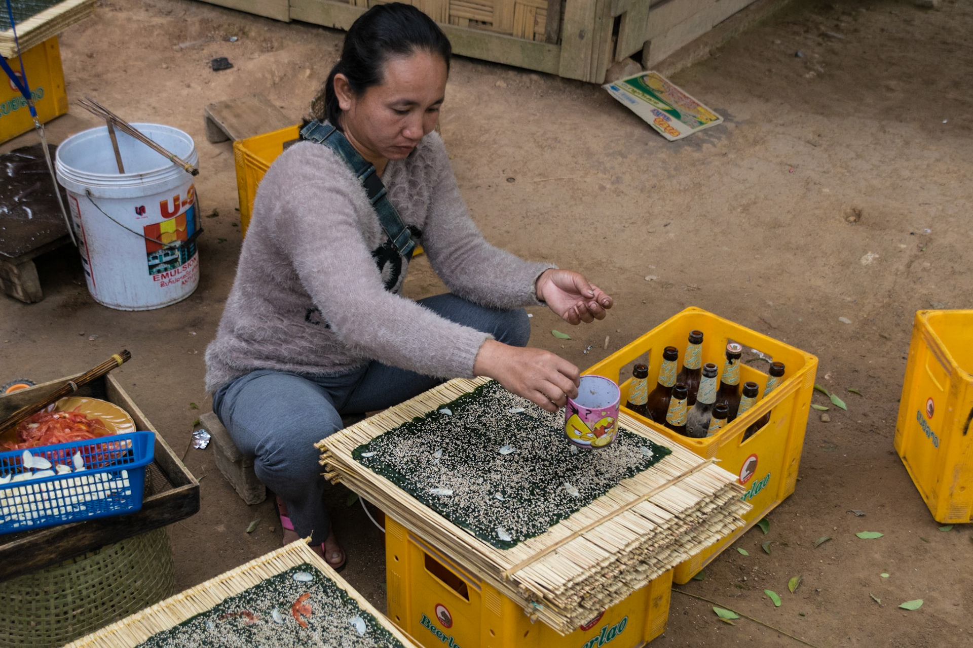 Lady preparing river weed, Nong Khiaw